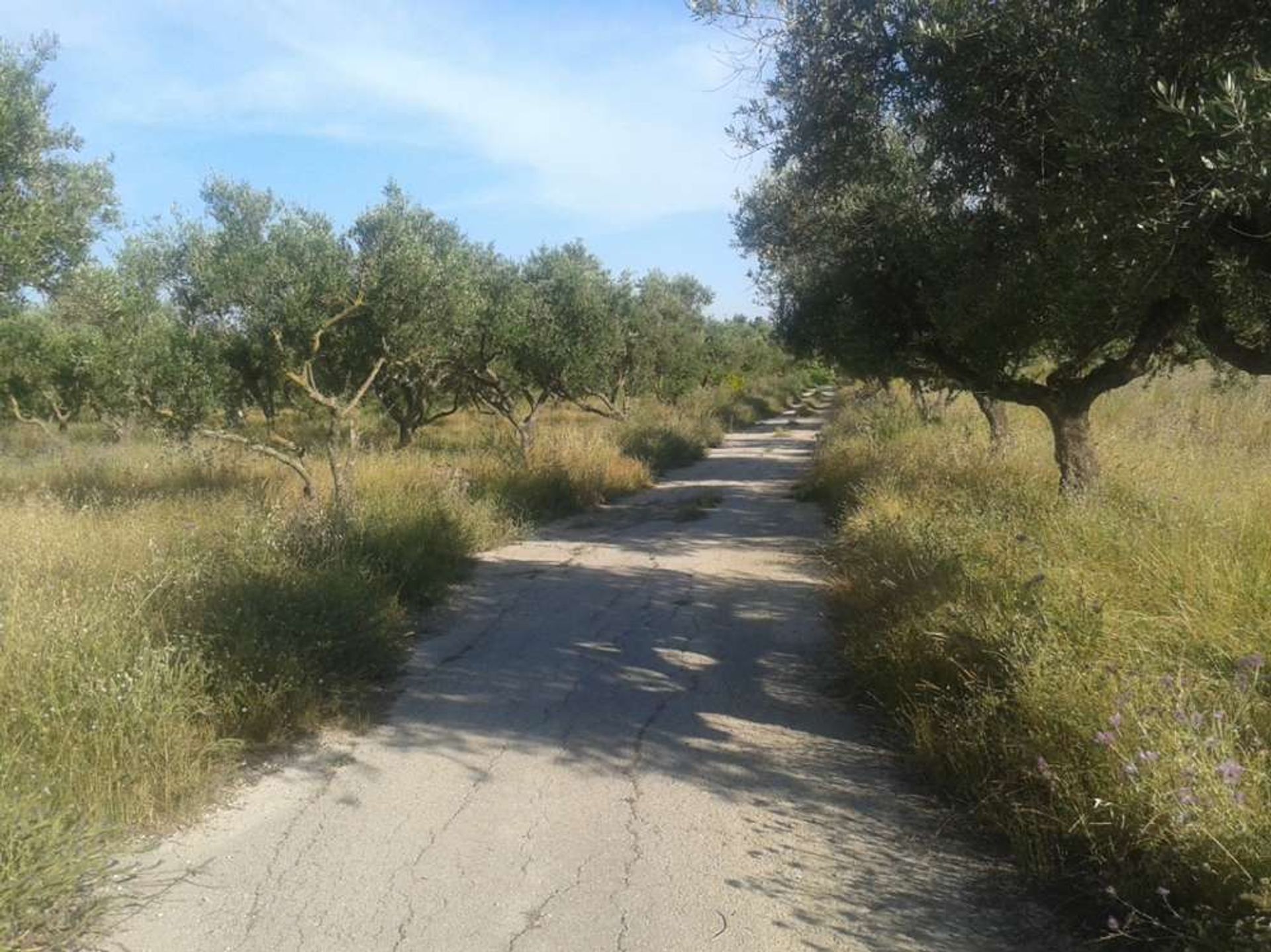 Land in Galaro, Ionia Nisia 10087794