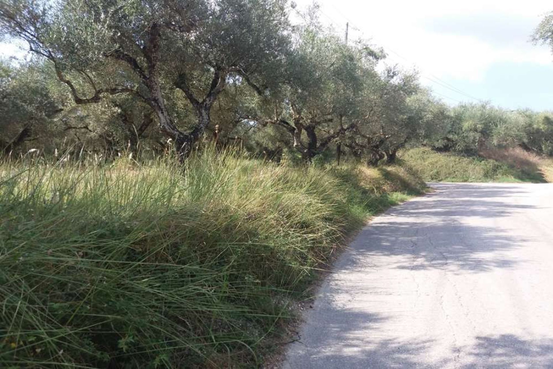 الأرض في Zakynthos, Zakinthos 10087796