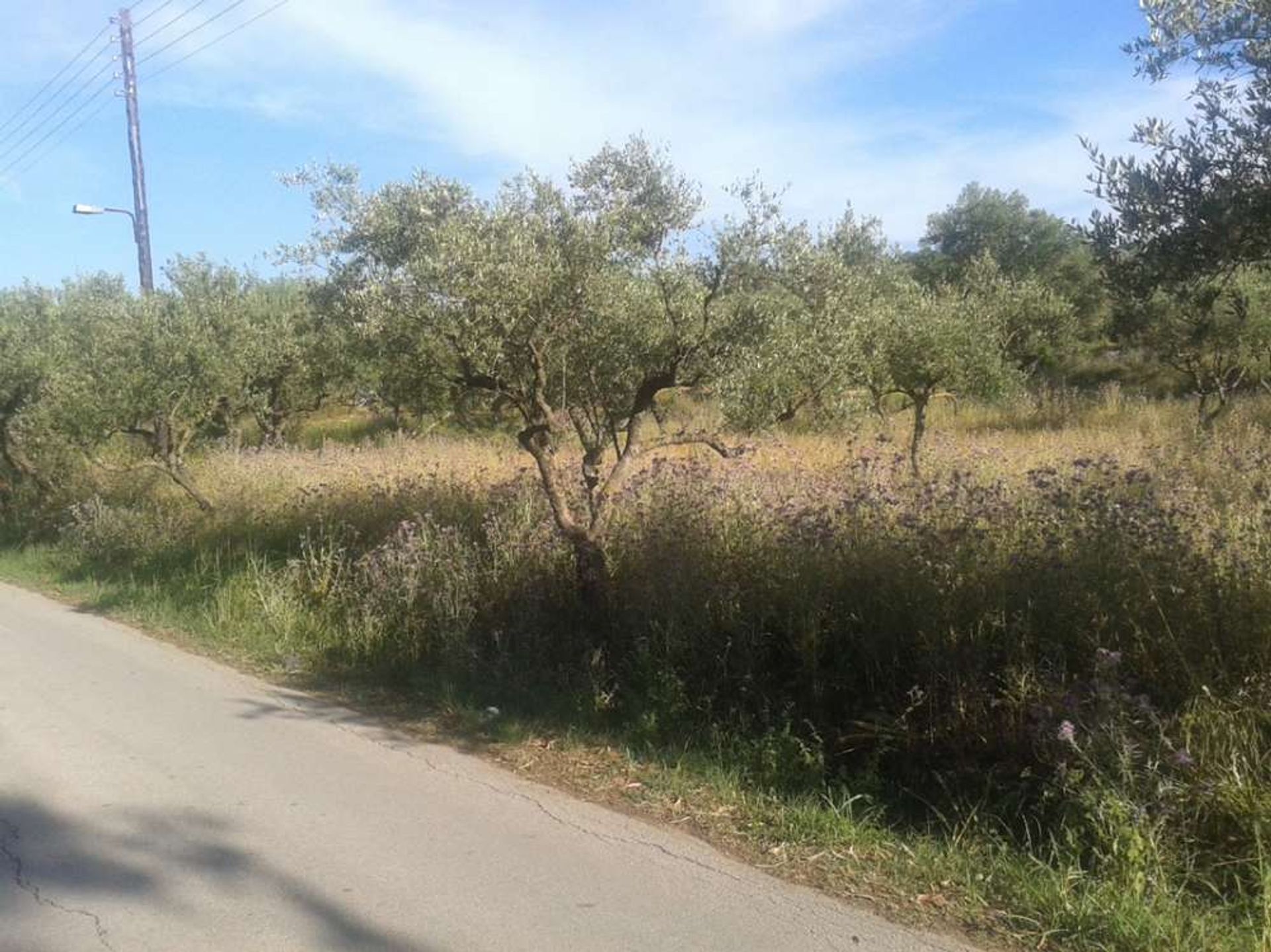 Tierra en Agios Kirykos, Ionia Nisia 10087801