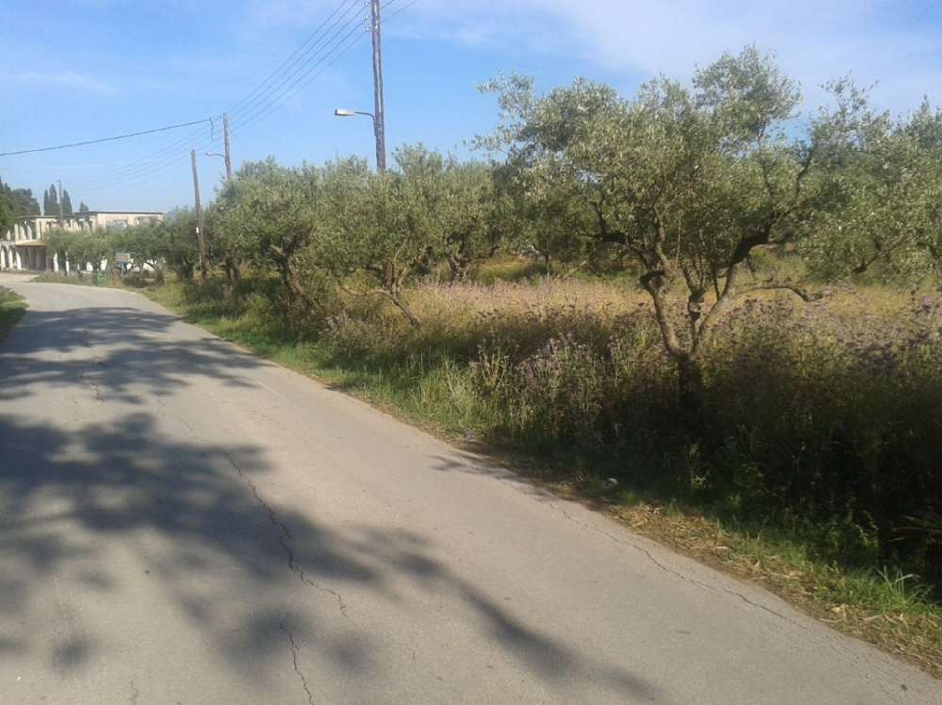 Land in Agios Kirykos, Ionië Nisia 10087801