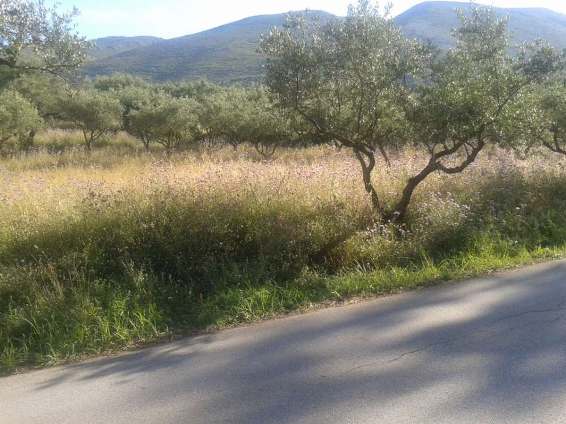 土地 在 Zakynthos, Zakinthos 10087801