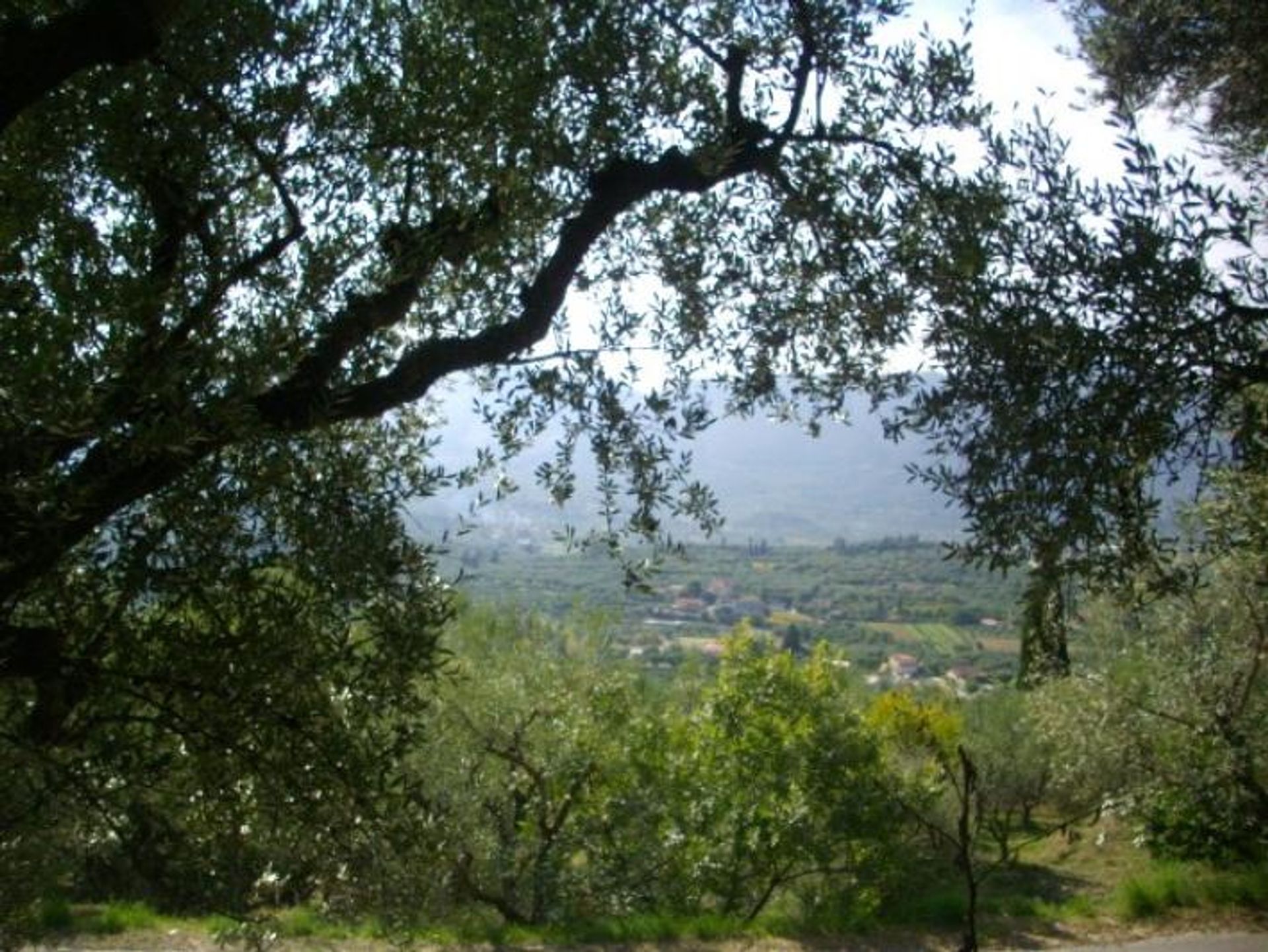 Jord i Zakynthos, Zakinthos 10087803