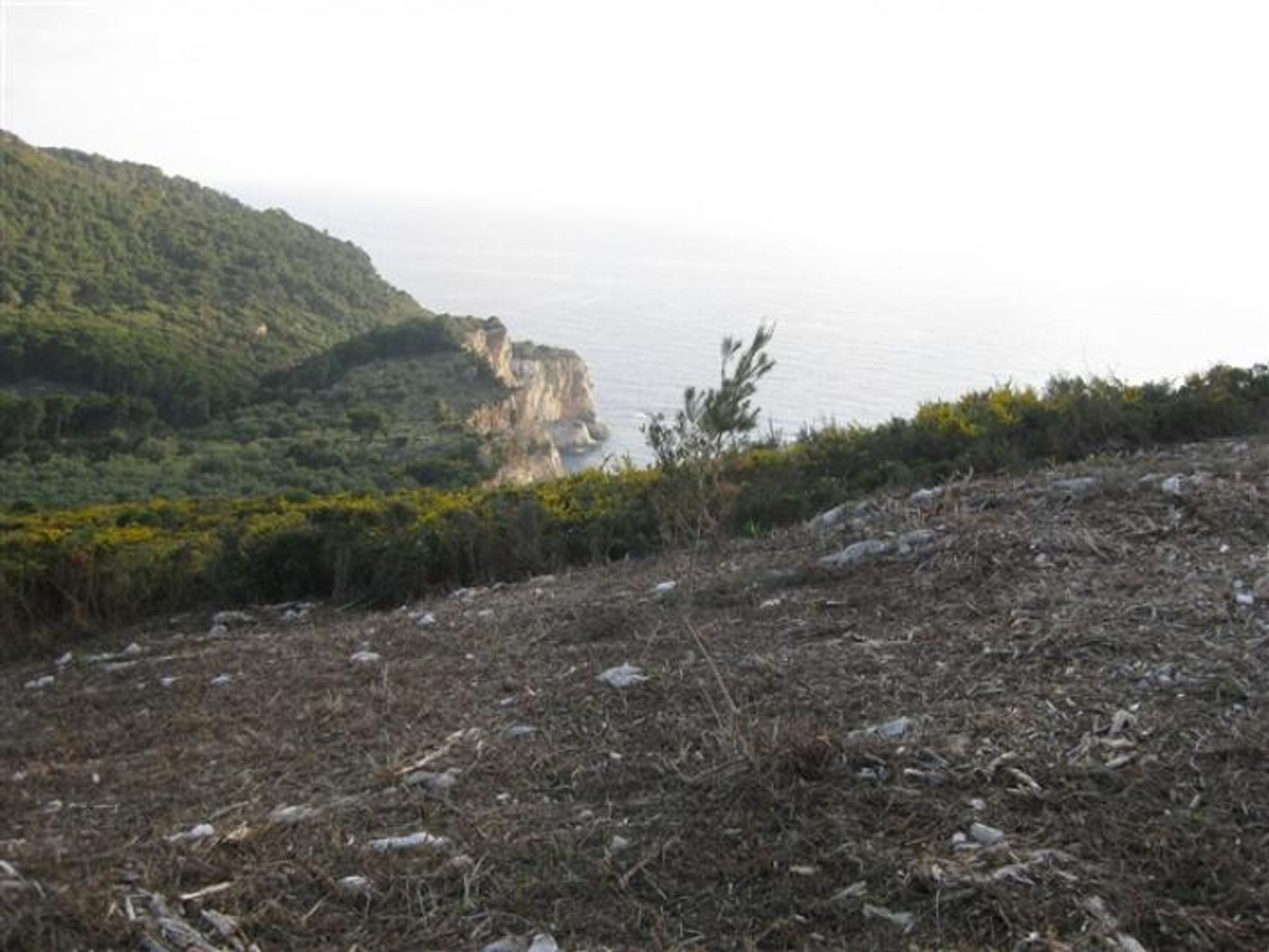 Terra no Zakynthos, Zakinthos 10087809