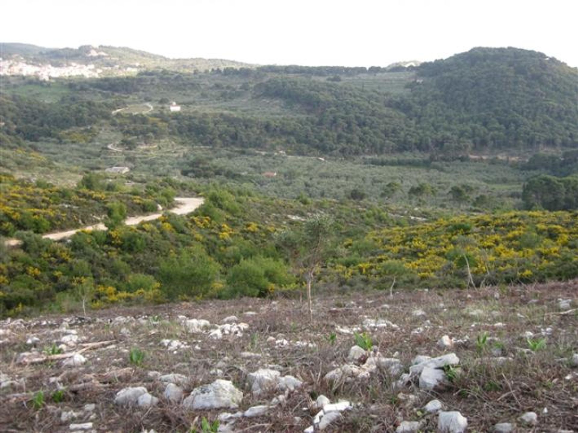 Tanah dalam Zakynthos, Zakinthos 10087809