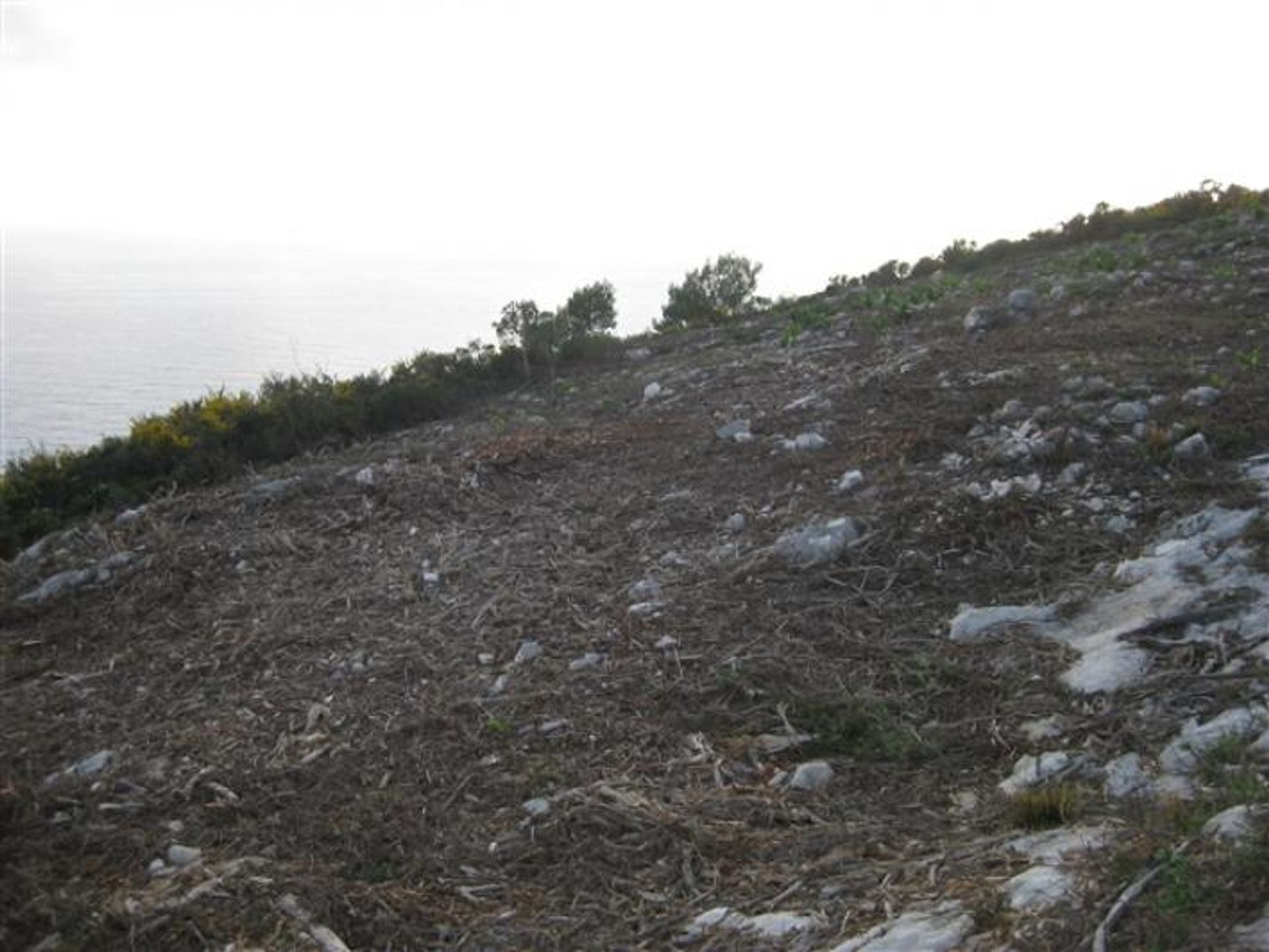 الأرض في Zakynthos, Zakinthos 10087809