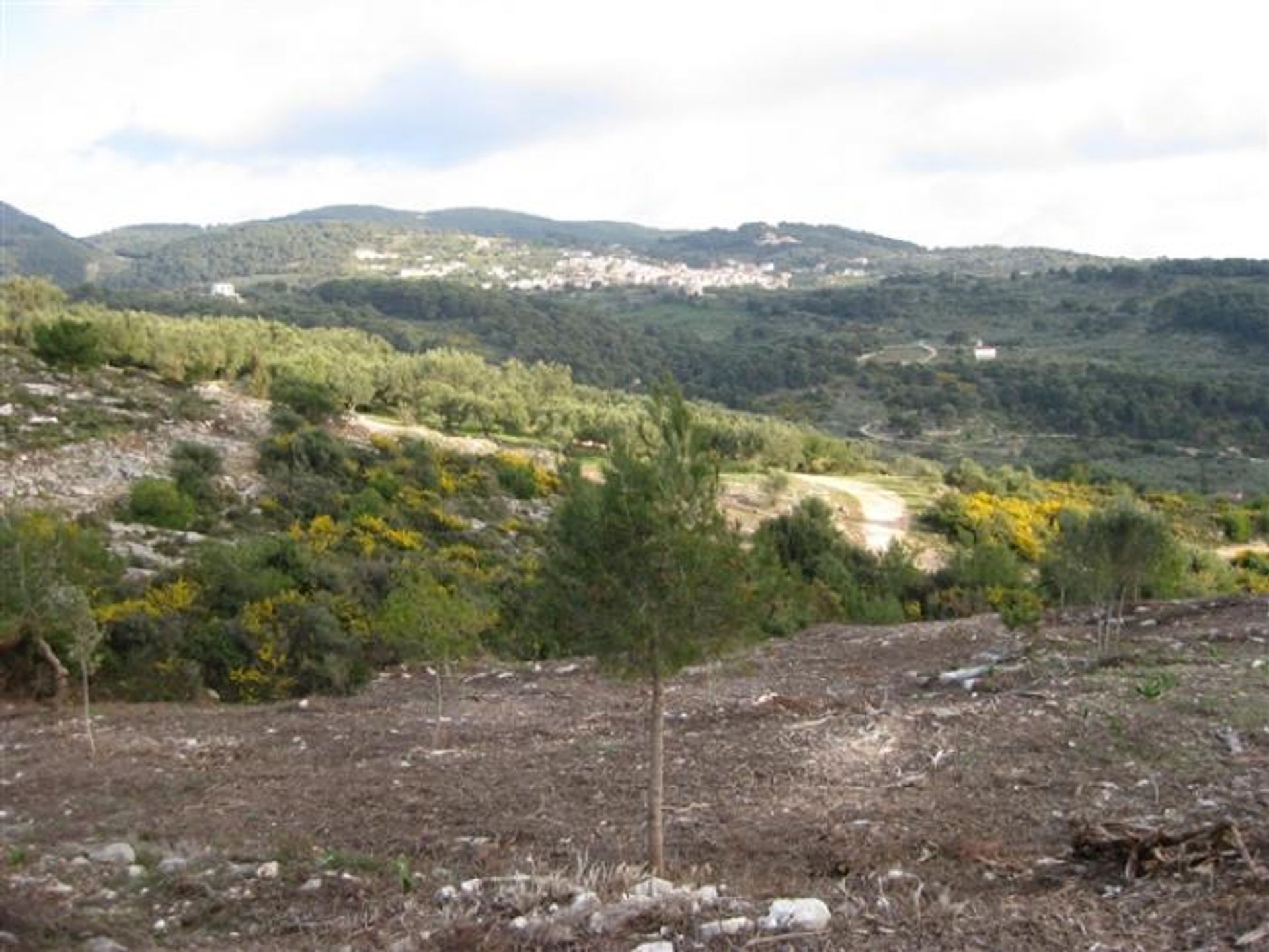 Земля в Zakynthos, Zakinthos 10087809