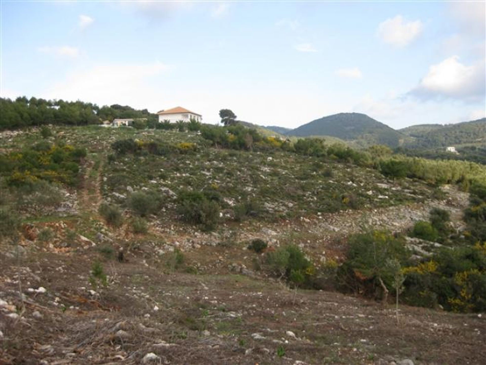 Земля в Zakynthos, Zakinthos 10087809