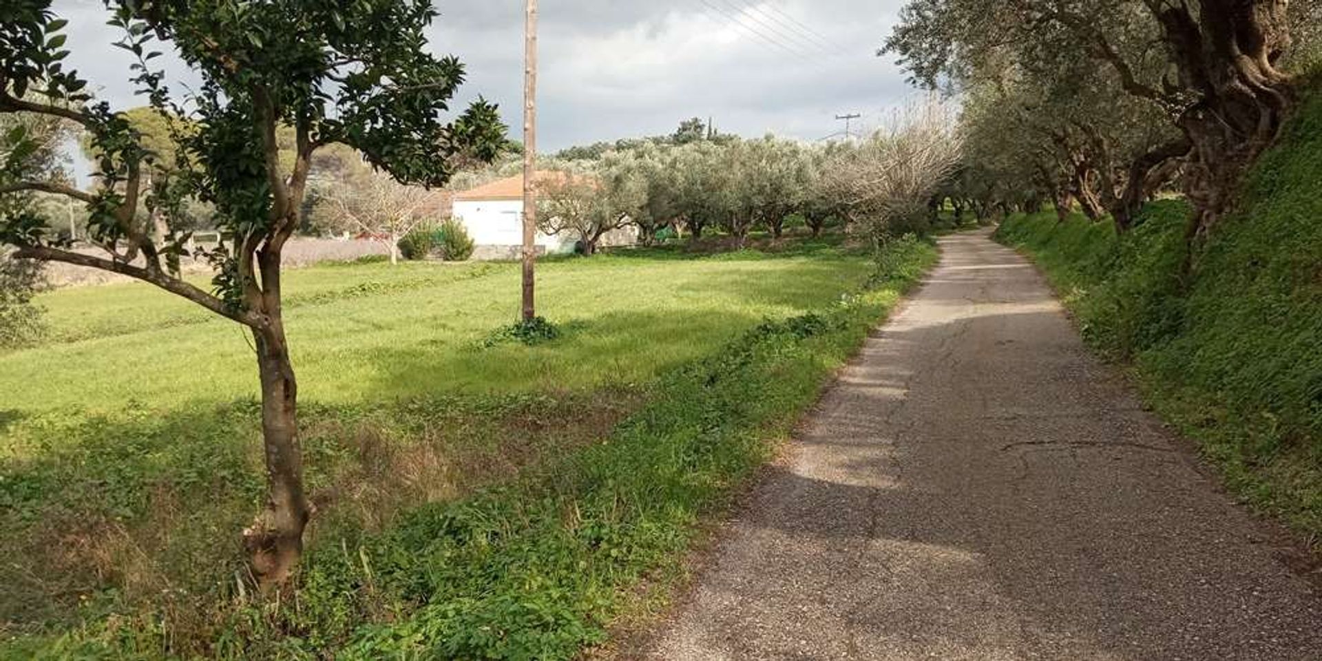 土地 在 Zakynthos, Zakinthos 10087816