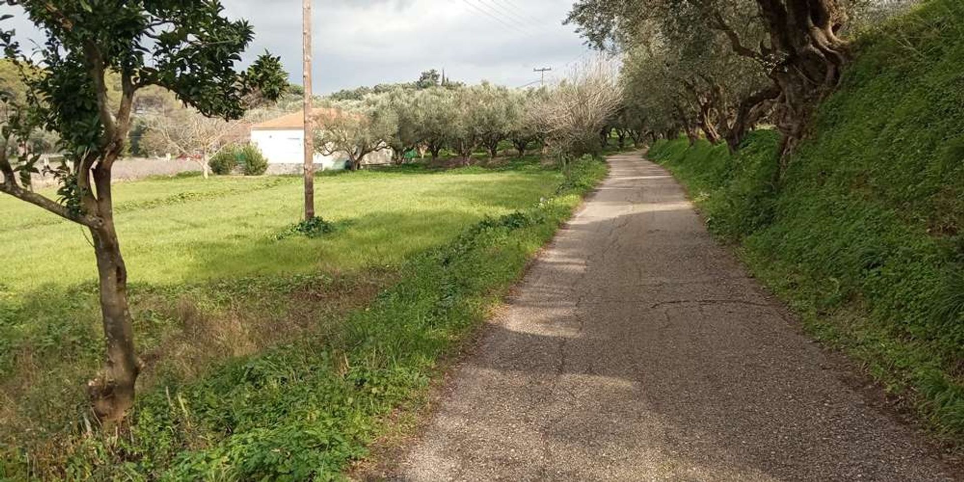 ארץ ב Zakynthos, Zakinthos 10087816