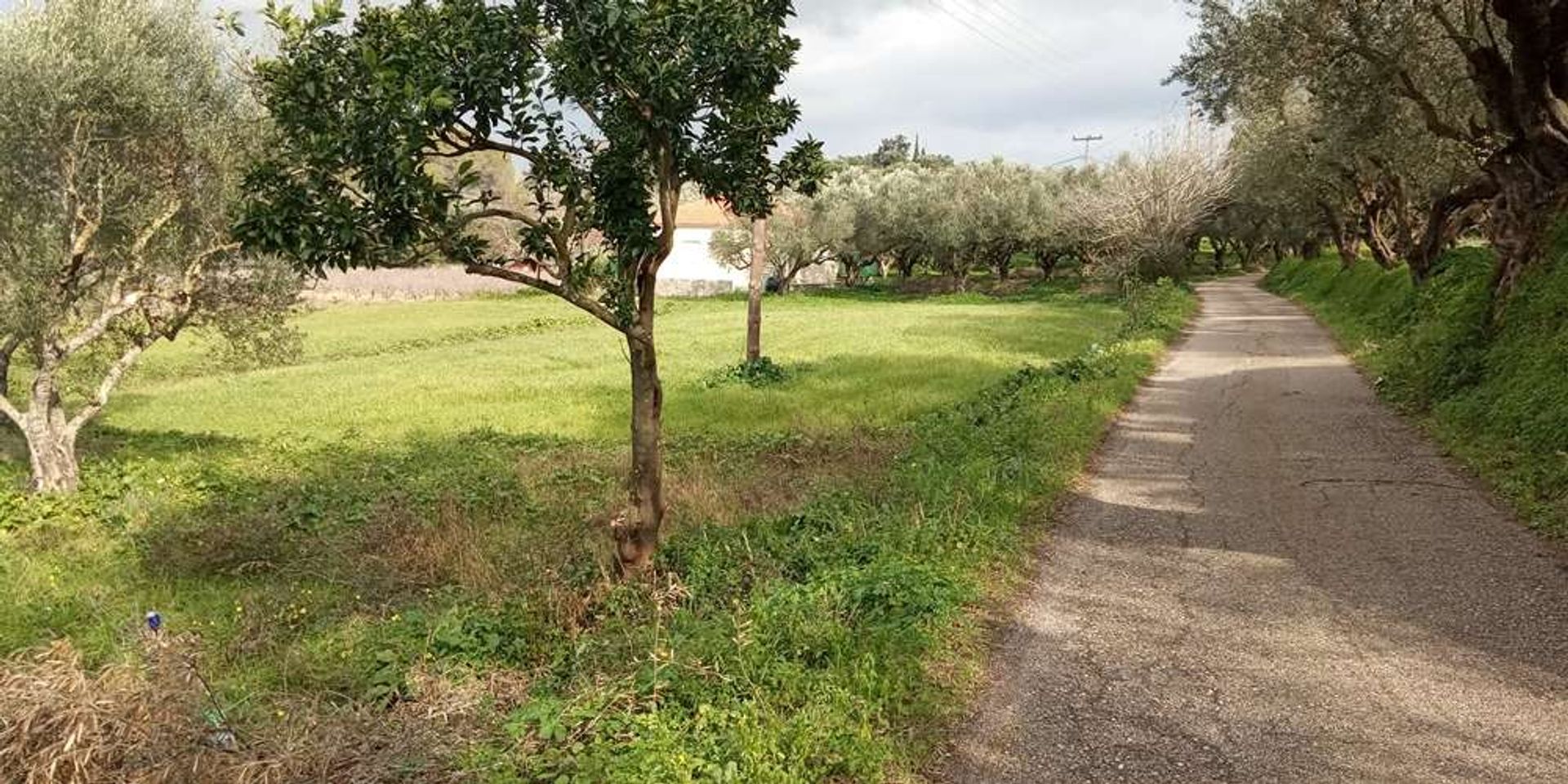 ארץ ב Zakynthos, Zakinthos 10087816