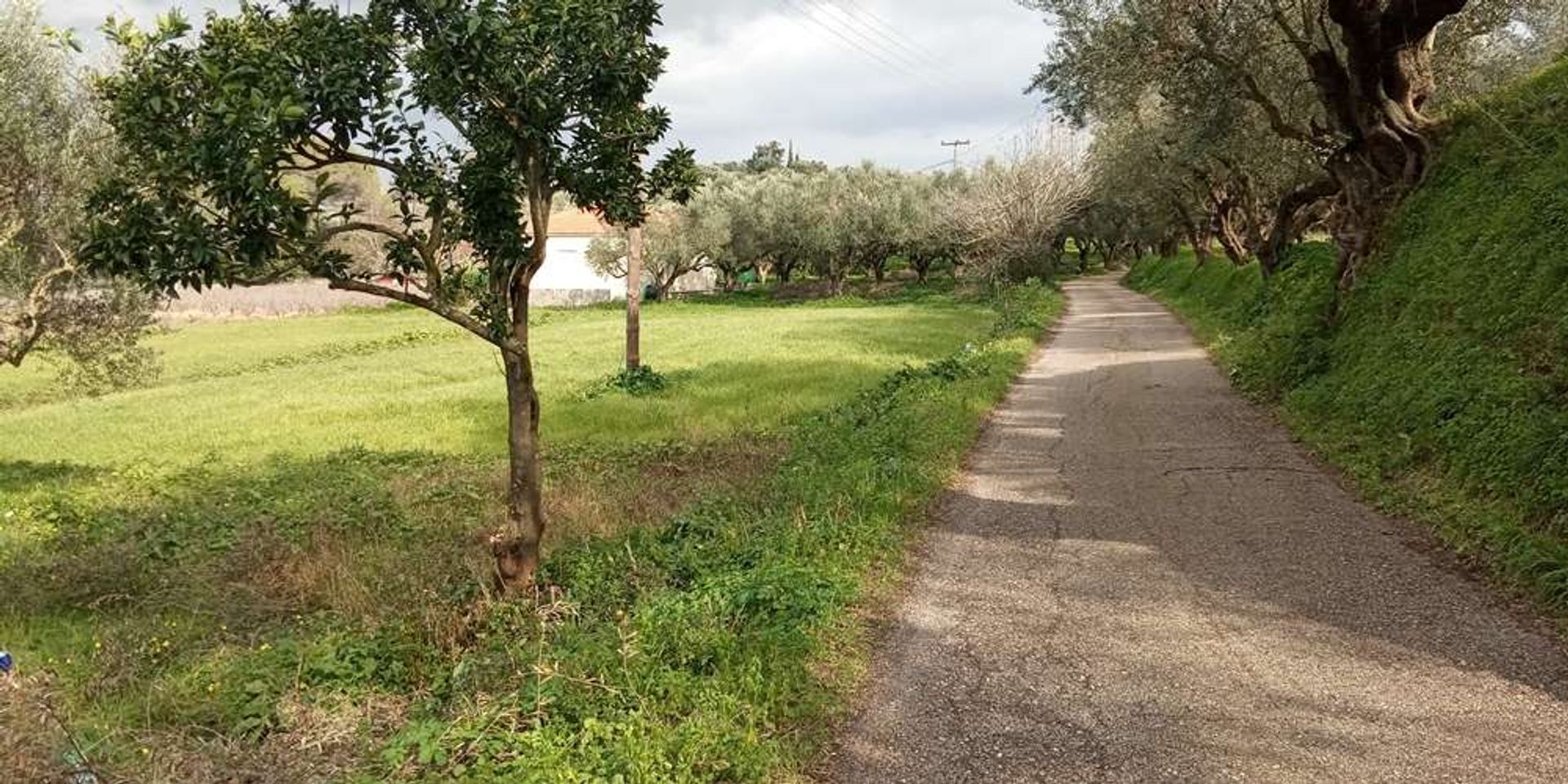 Tierra en Zakynthos, Zakinthos 10087816