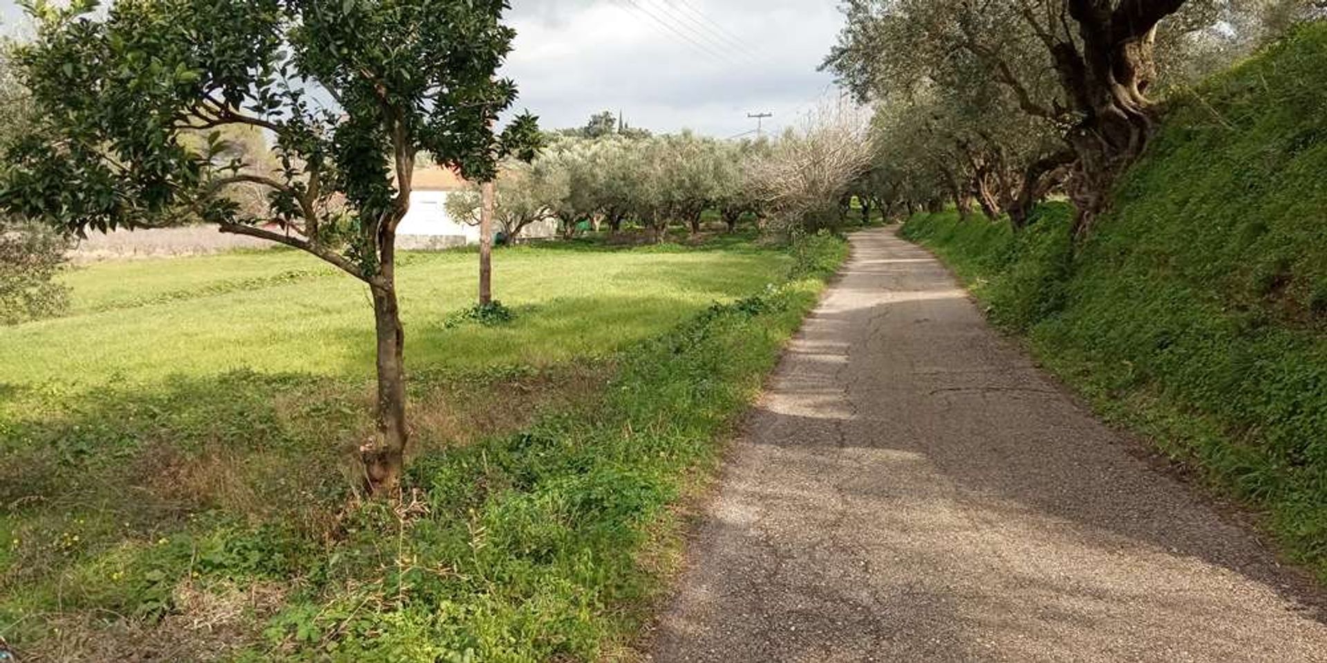 ארץ ב Zakynthos, Zakinthos 10087816