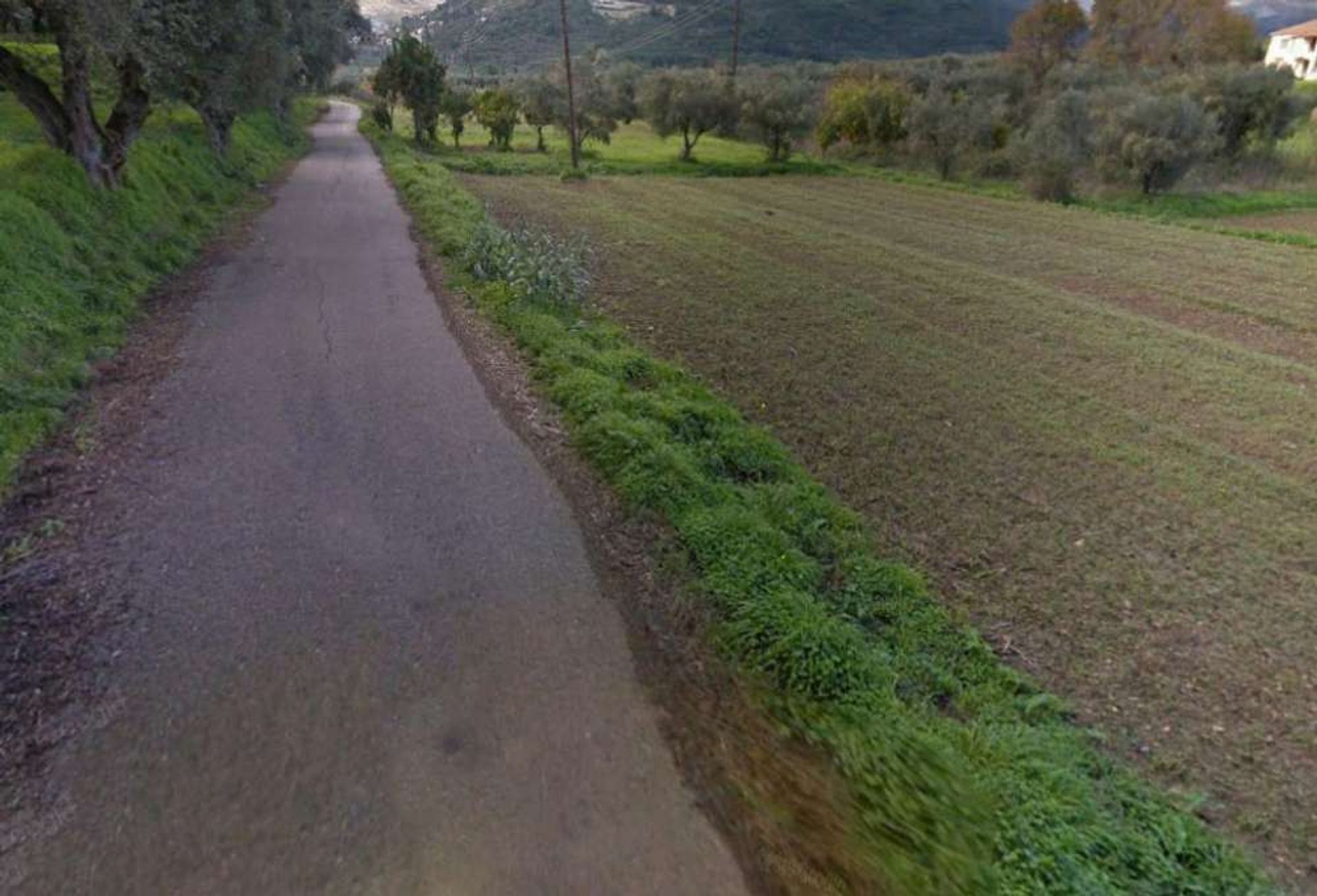 ארץ ב Zakynthos, Zakinthos 10087816