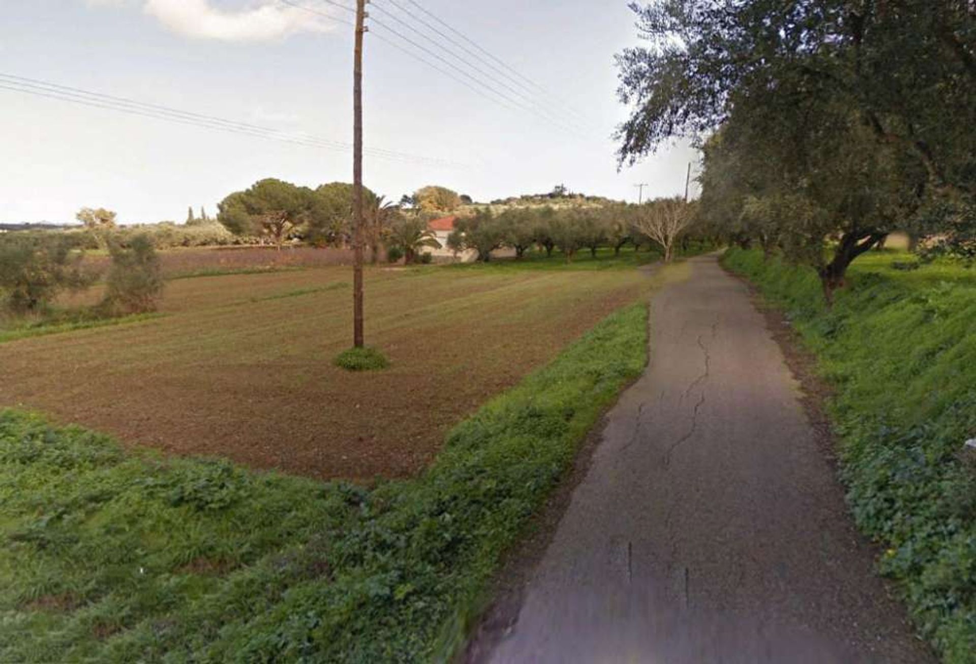 ארץ ב Zakynthos, Zakinthos 10087816