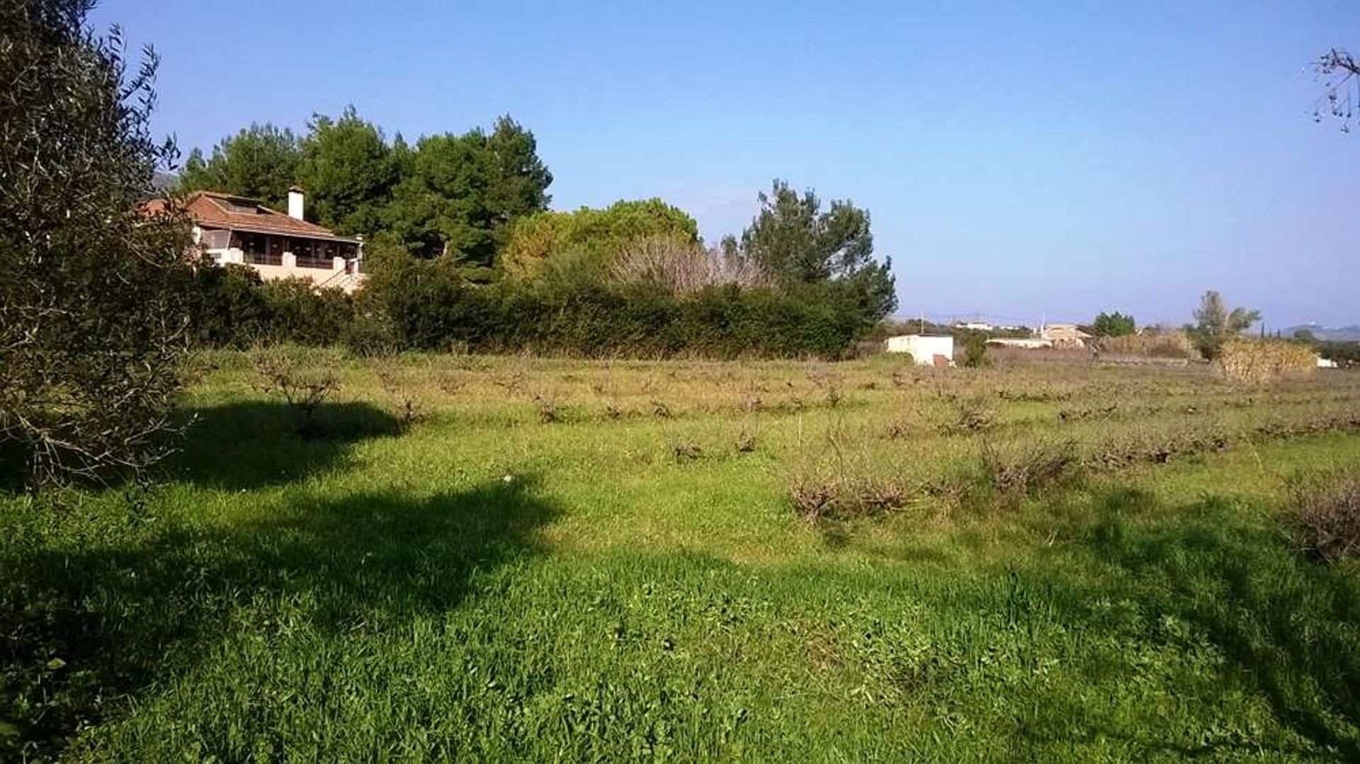 Land in Bochali, Ionia Nisia 10087818