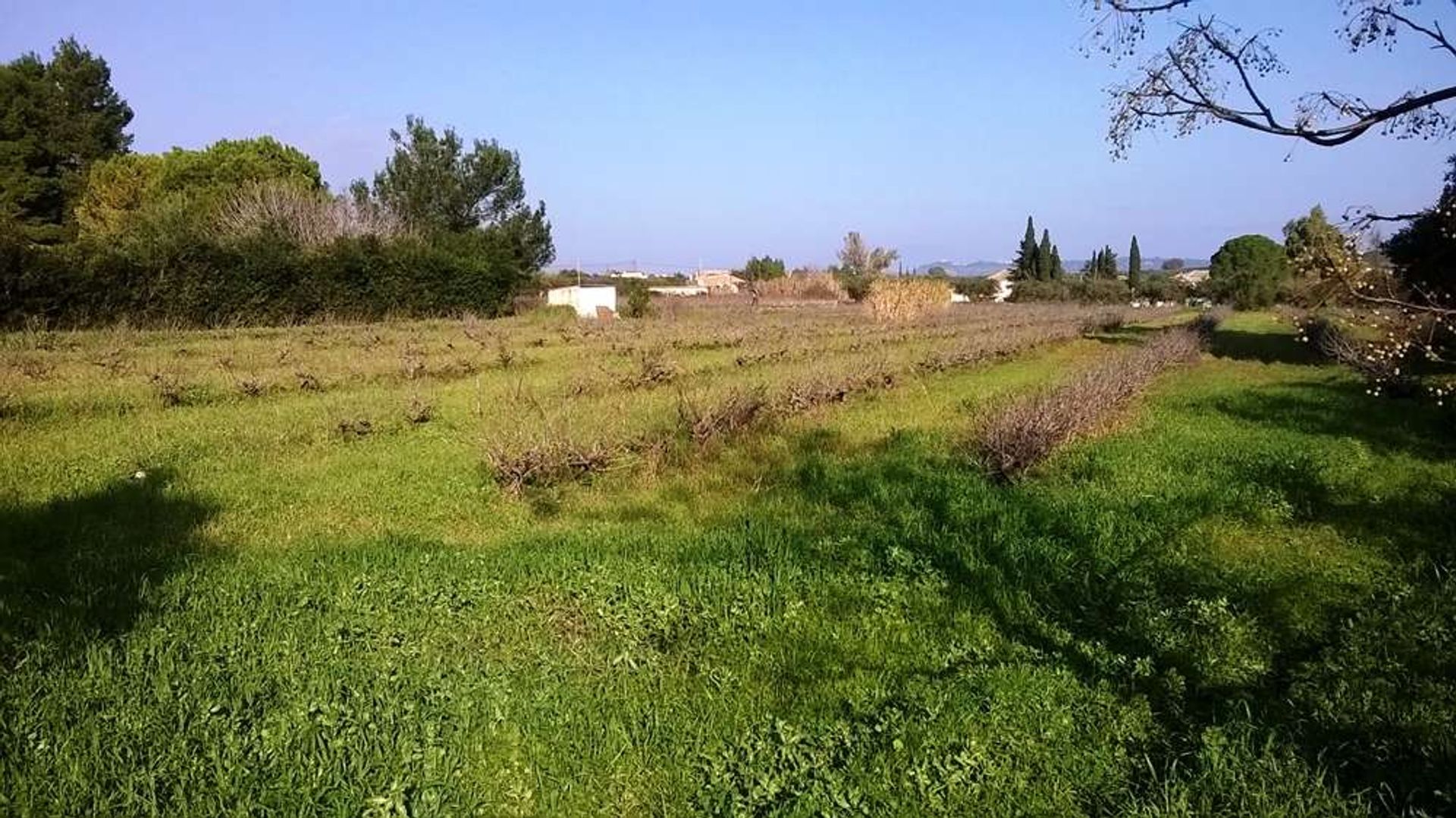 Land in Bochali, Ionia Nisia 10087818