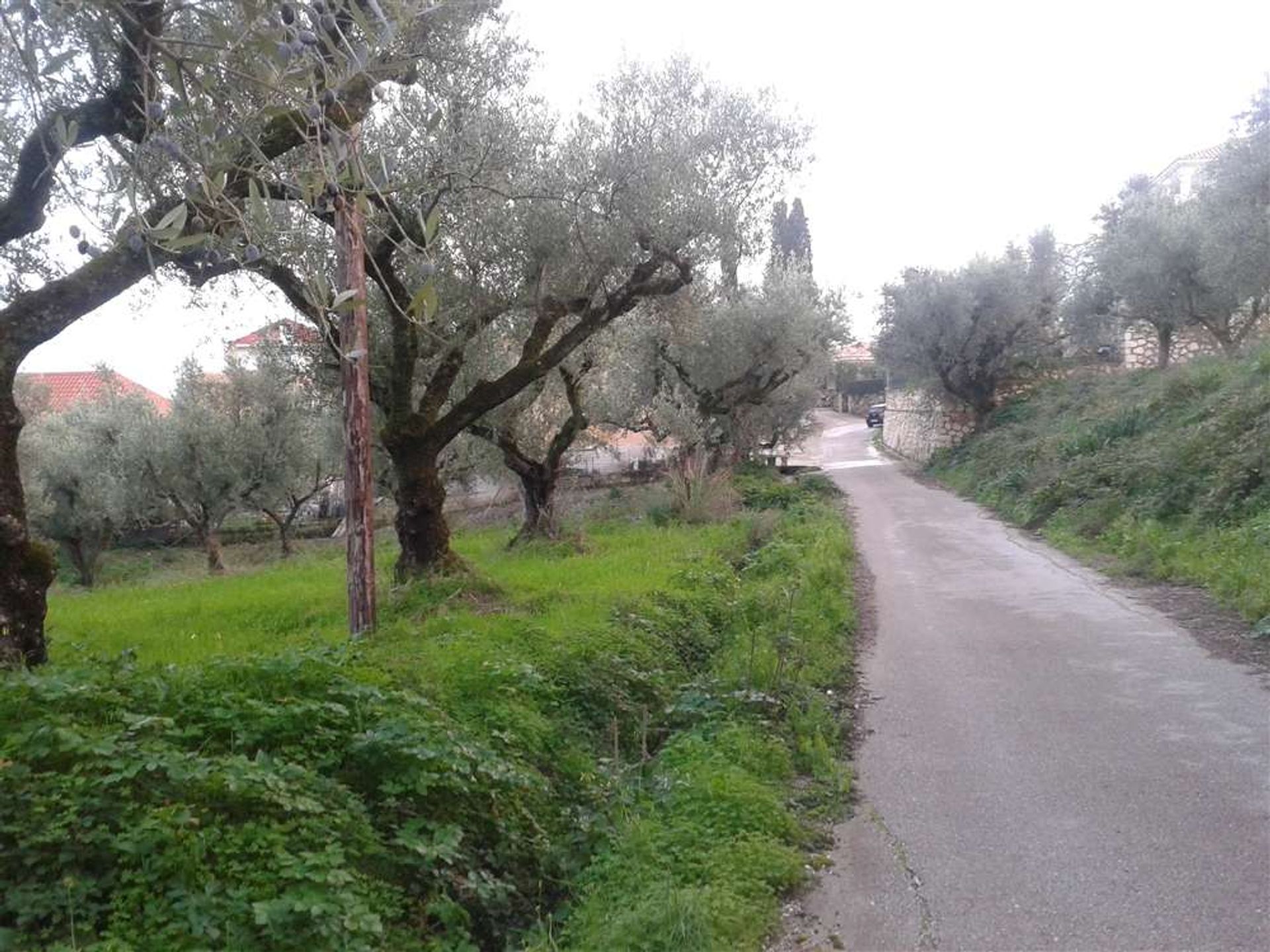 Tierra en bochalí, Jonia Nisia 10087819