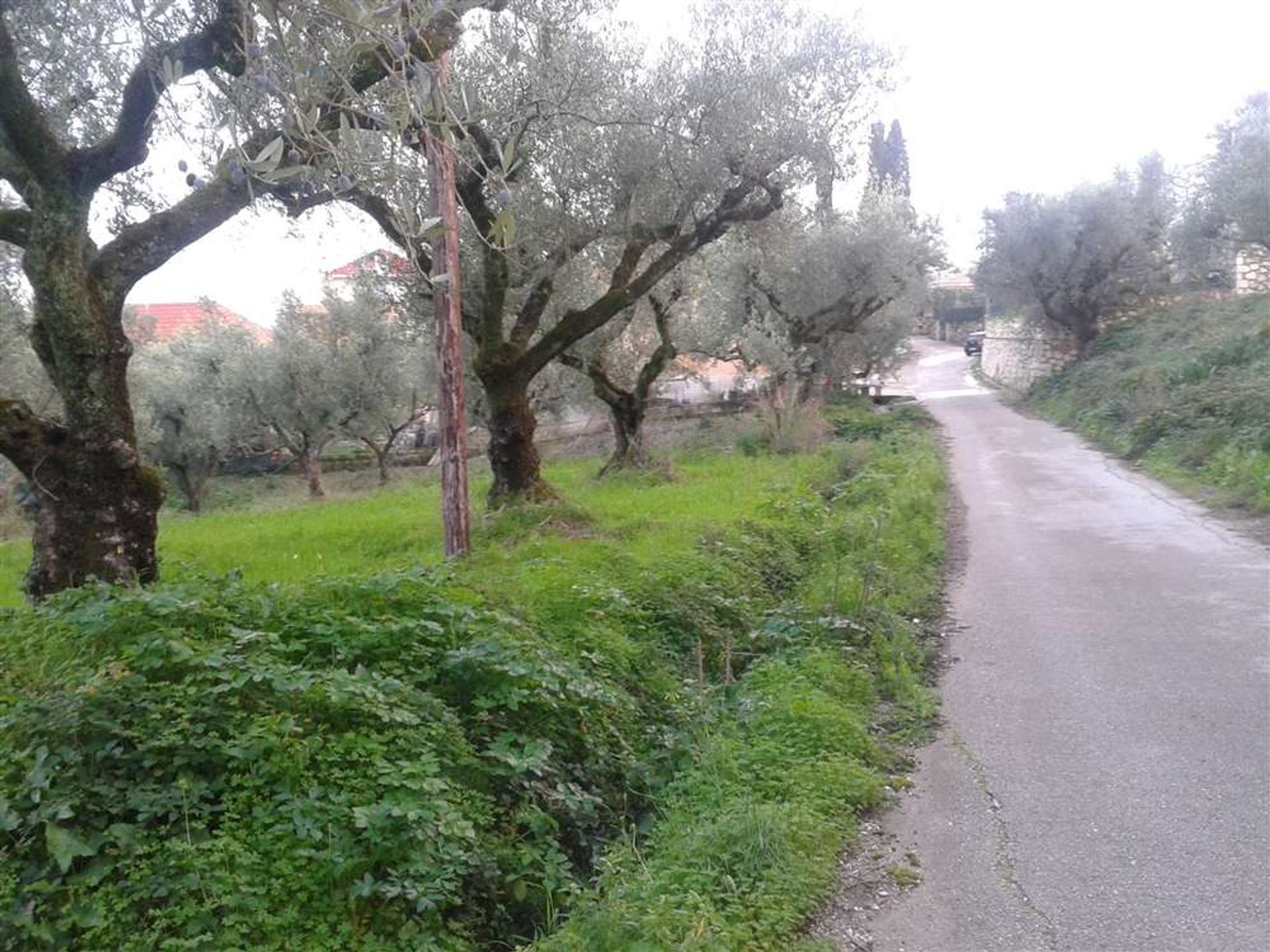 Tierra en Zakynthos, Zakinthos 10087819