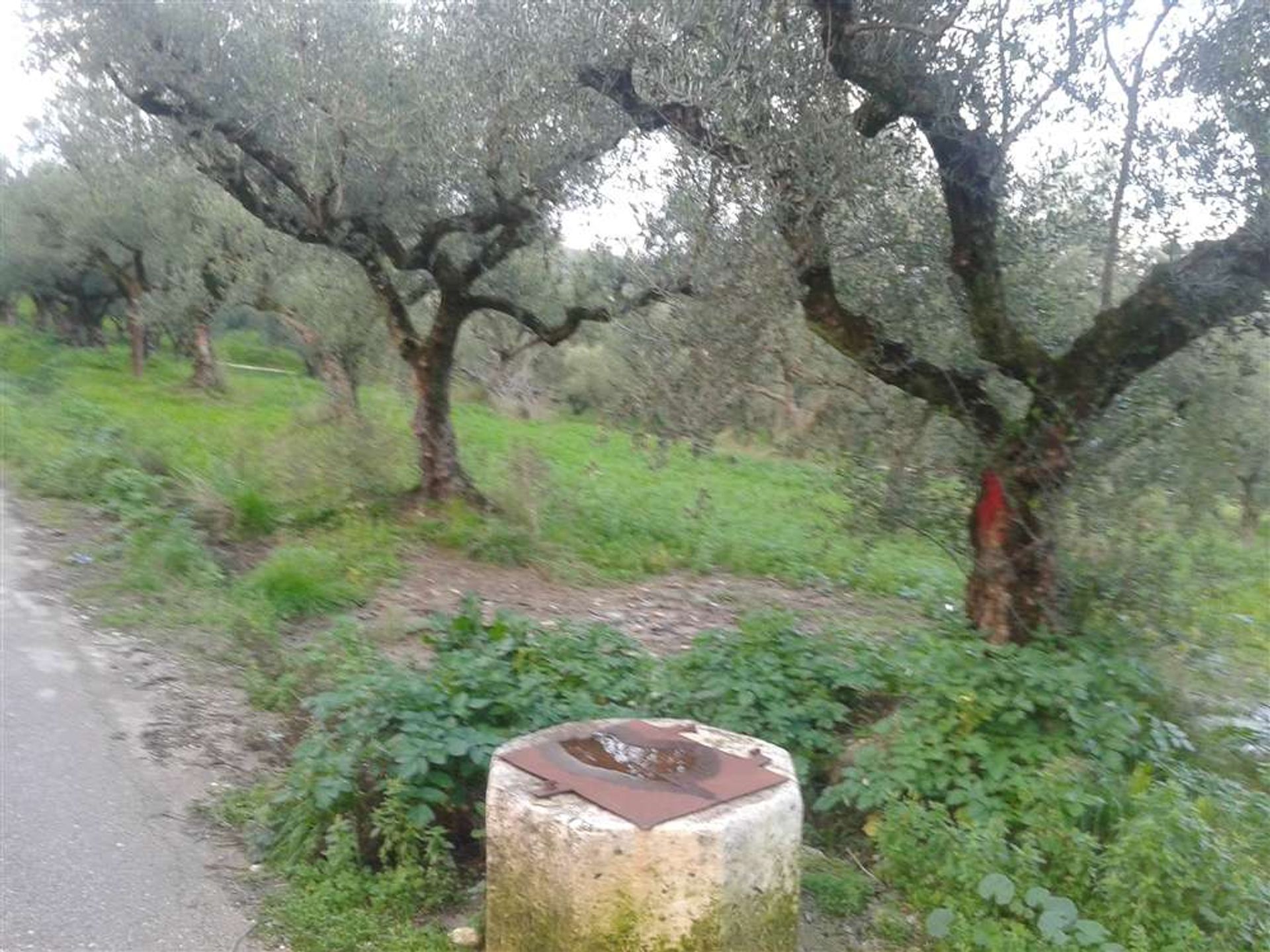 Tierra en Zakynthos, Zakinthos 10087819