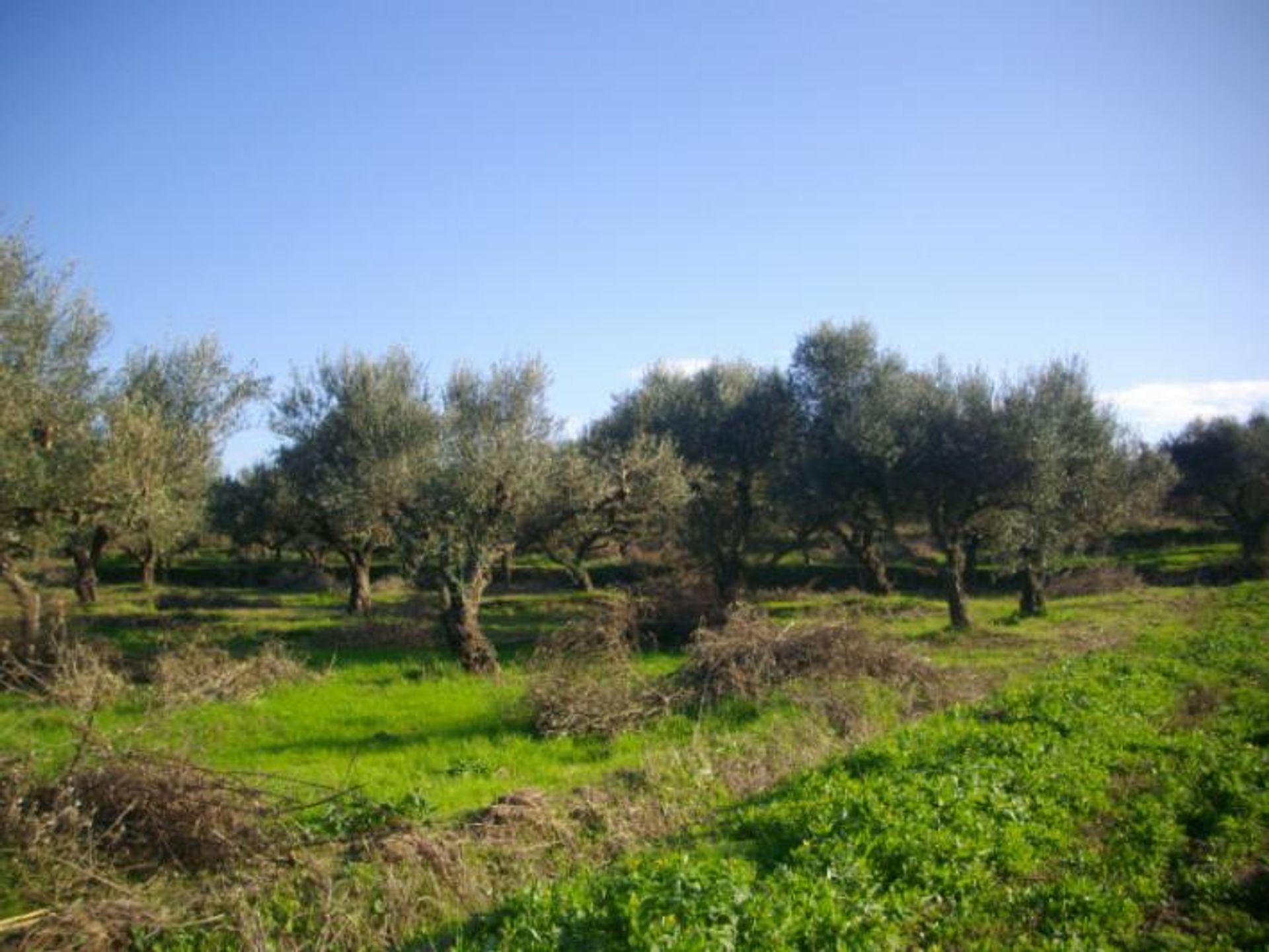 Земельные участки в Zakynthos, Zakinthos 10087825