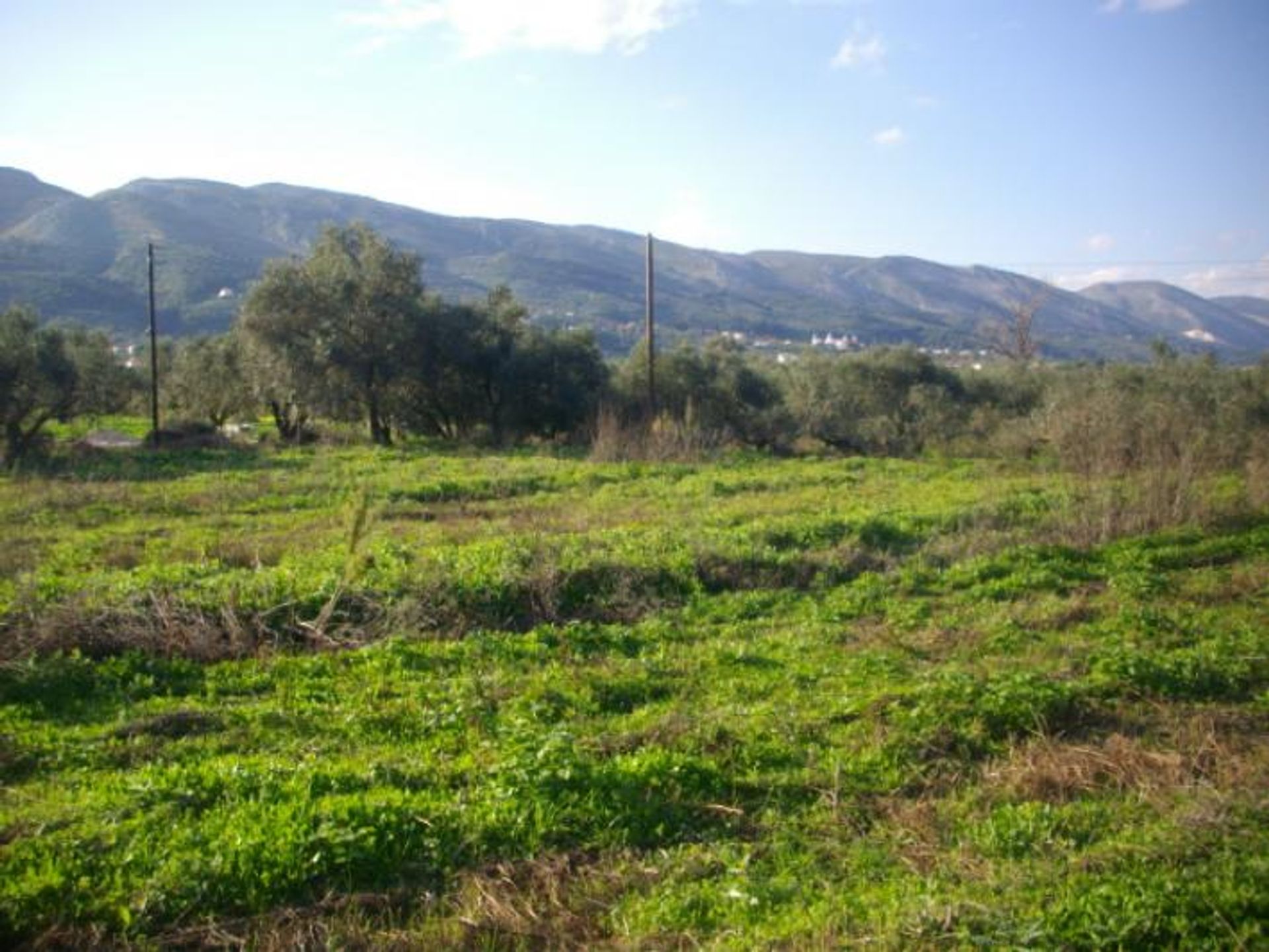 Land im Bochali, Ionia Nisia 10087825