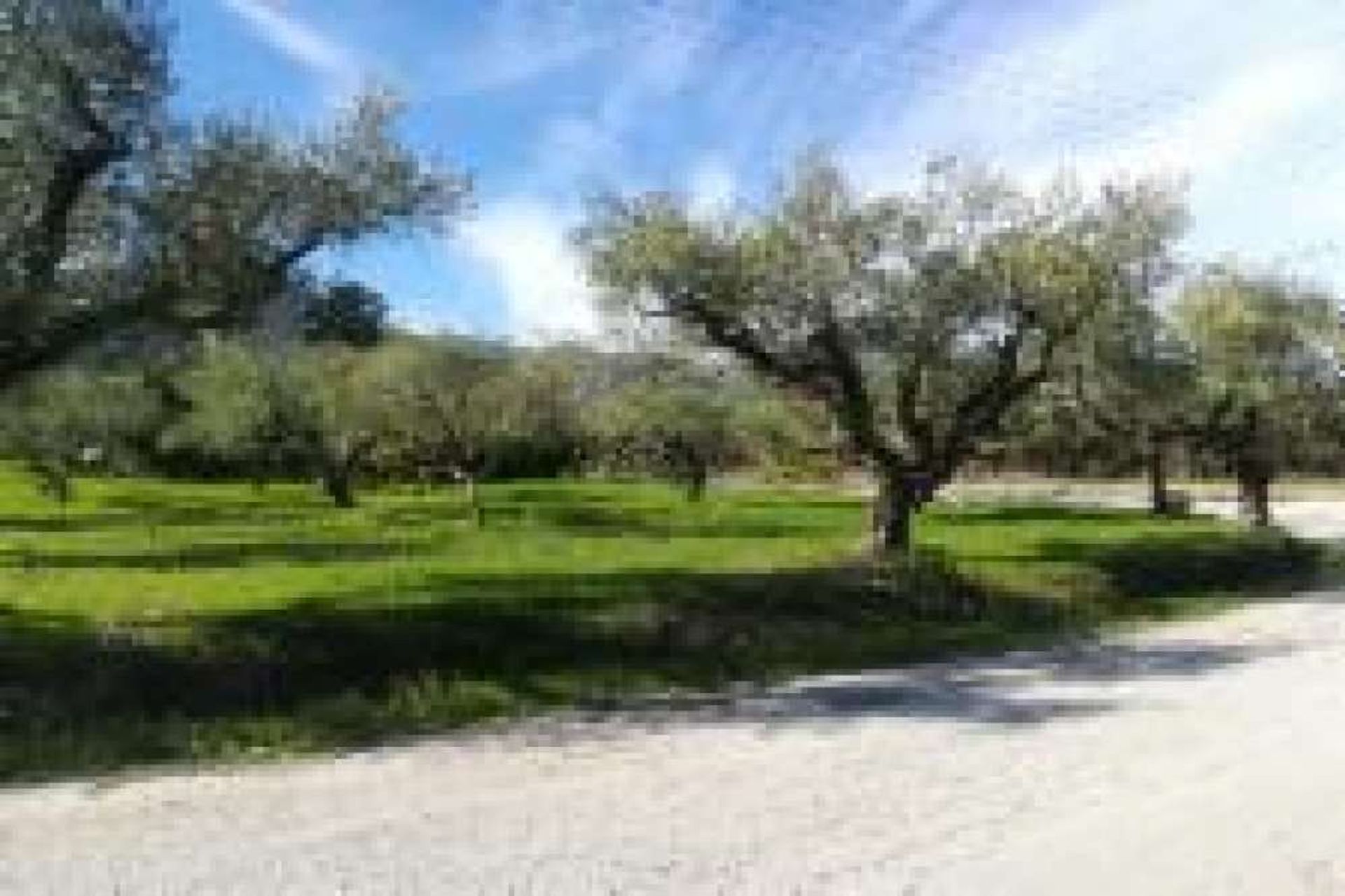 ארץ ב Zakynthos, Zakinthos 10087826