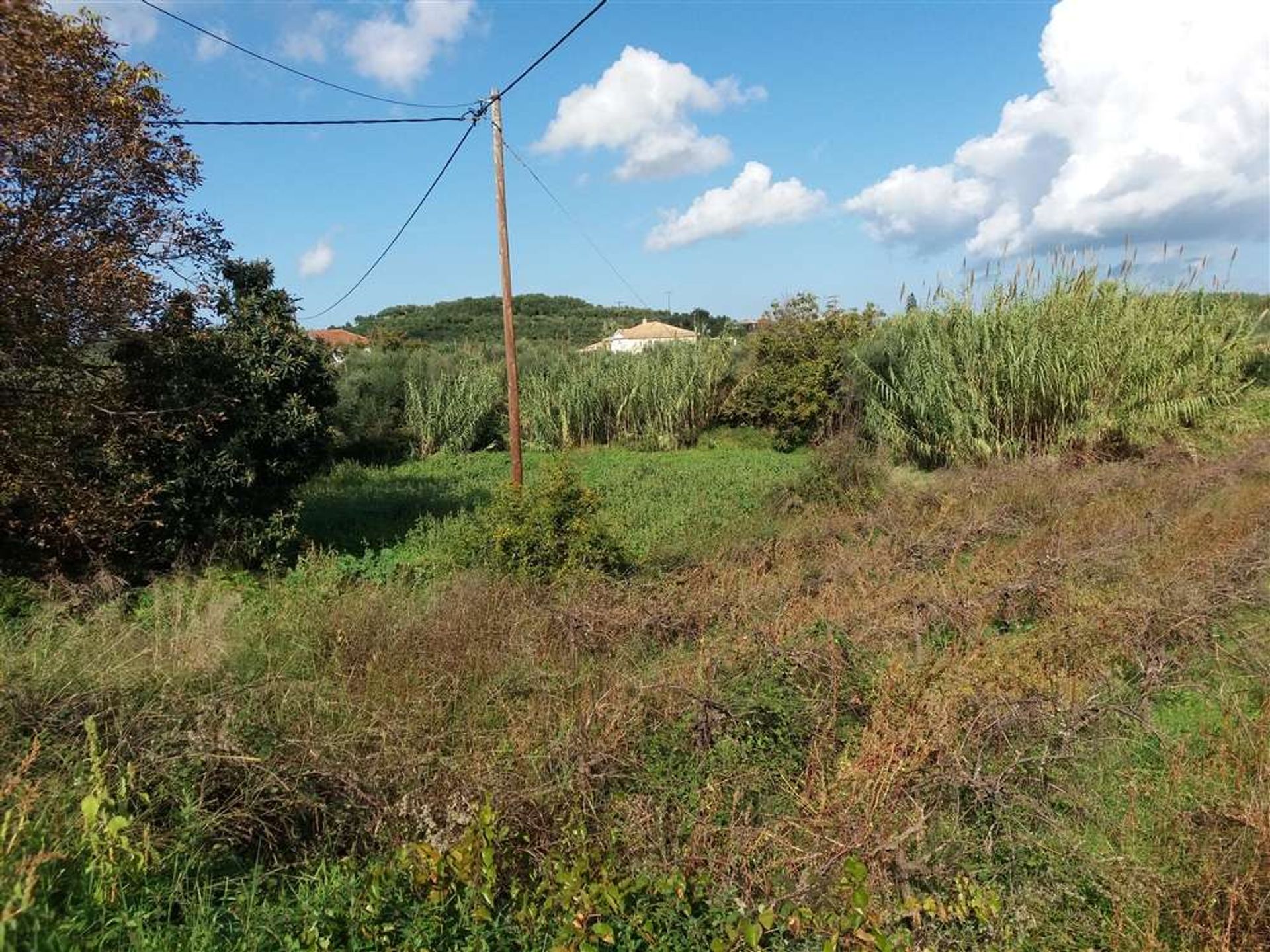 Tierra en bochalí, Jonia Nisia 10087827