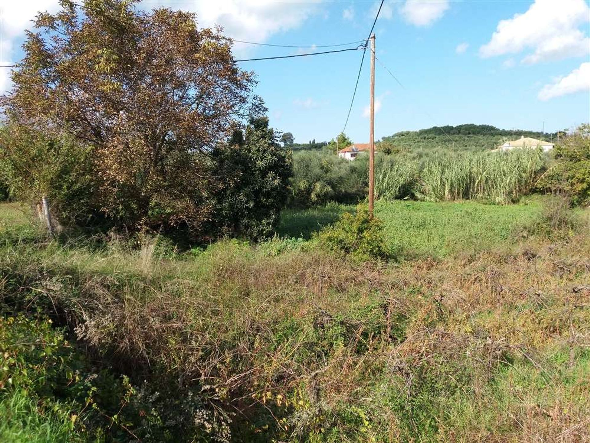 Tierra en bochalí, Jonia Nisia 10087827