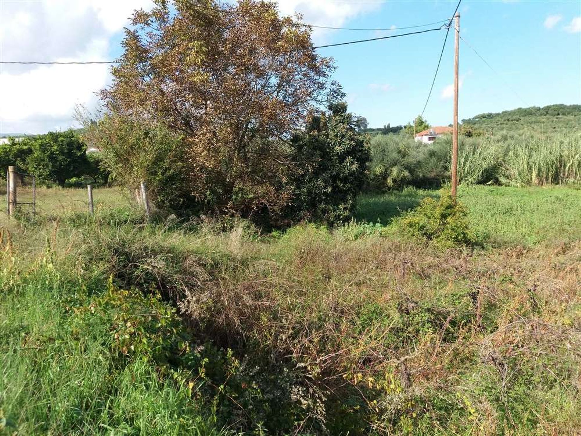 Tierra en bochalí, Jonia Nisia 10087827