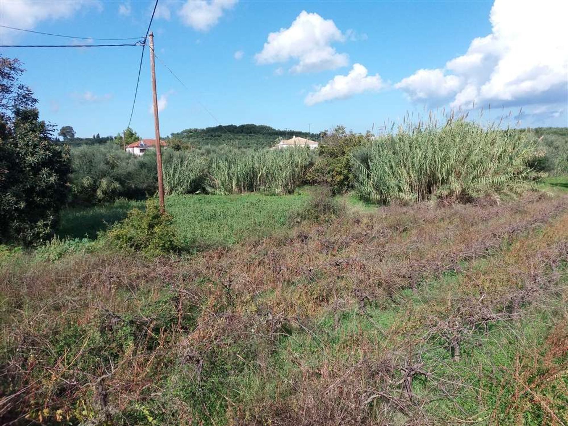 Tanah dalam Zakynthos, Zakinthos 10087827