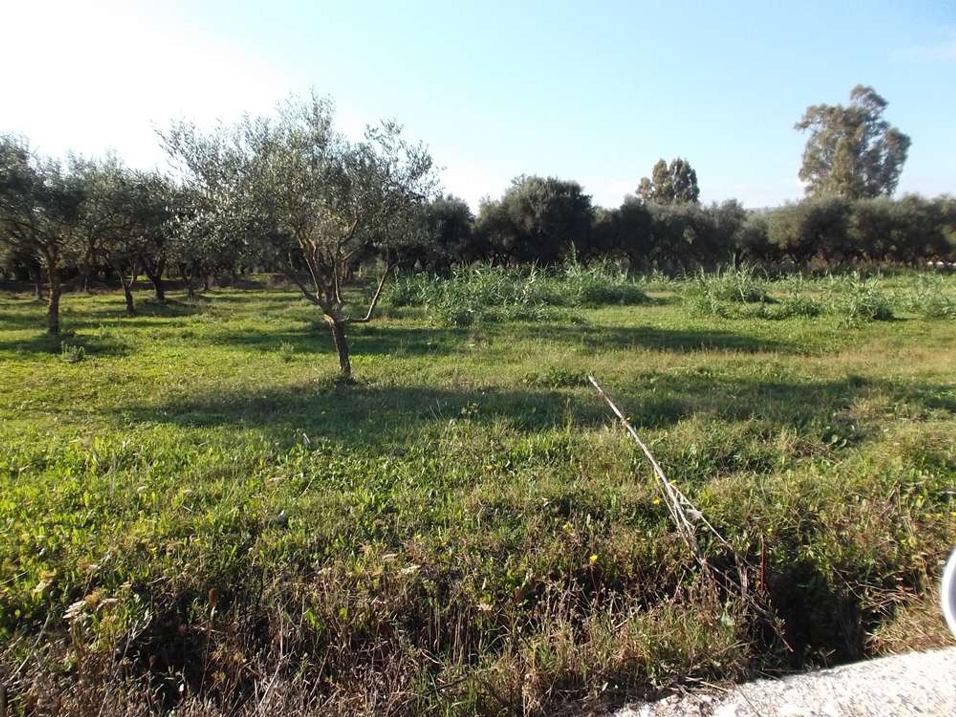 الأرض في Zakynthos, Zakinthos 10087831