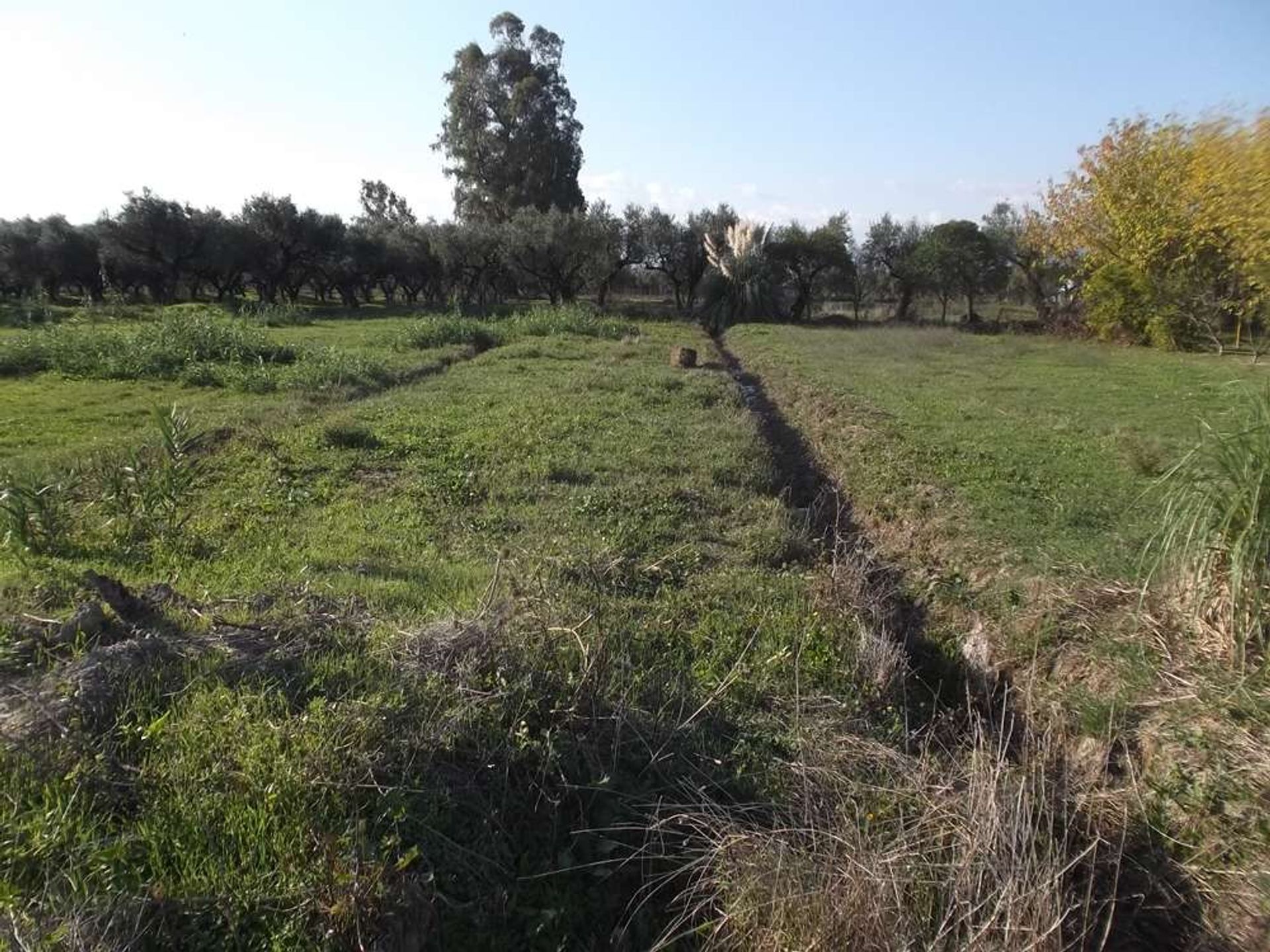 الأرض في Zakynthos, Zakinthos 10087831