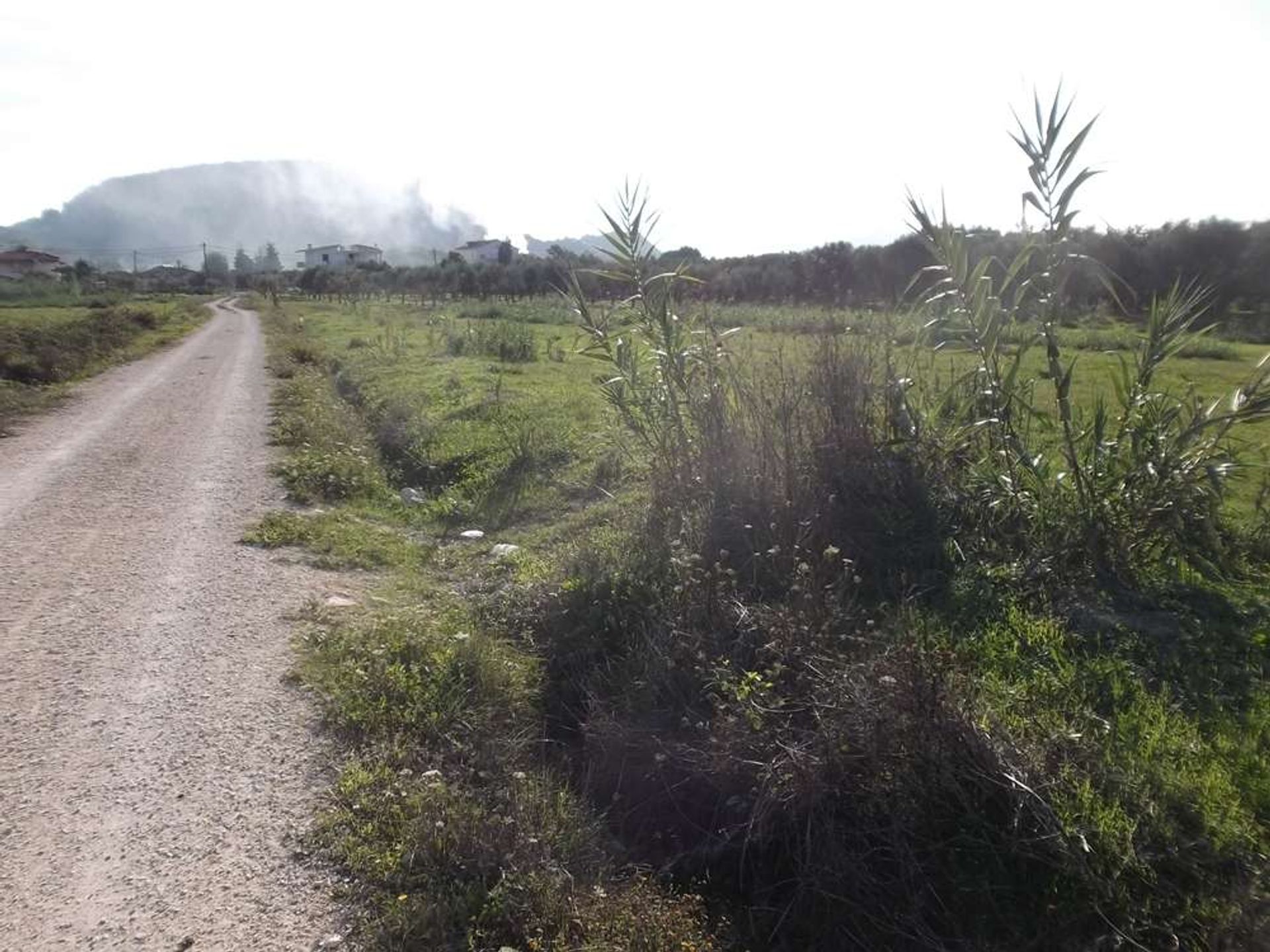 الأرض في Zakynthos, Zakinthos 10087831