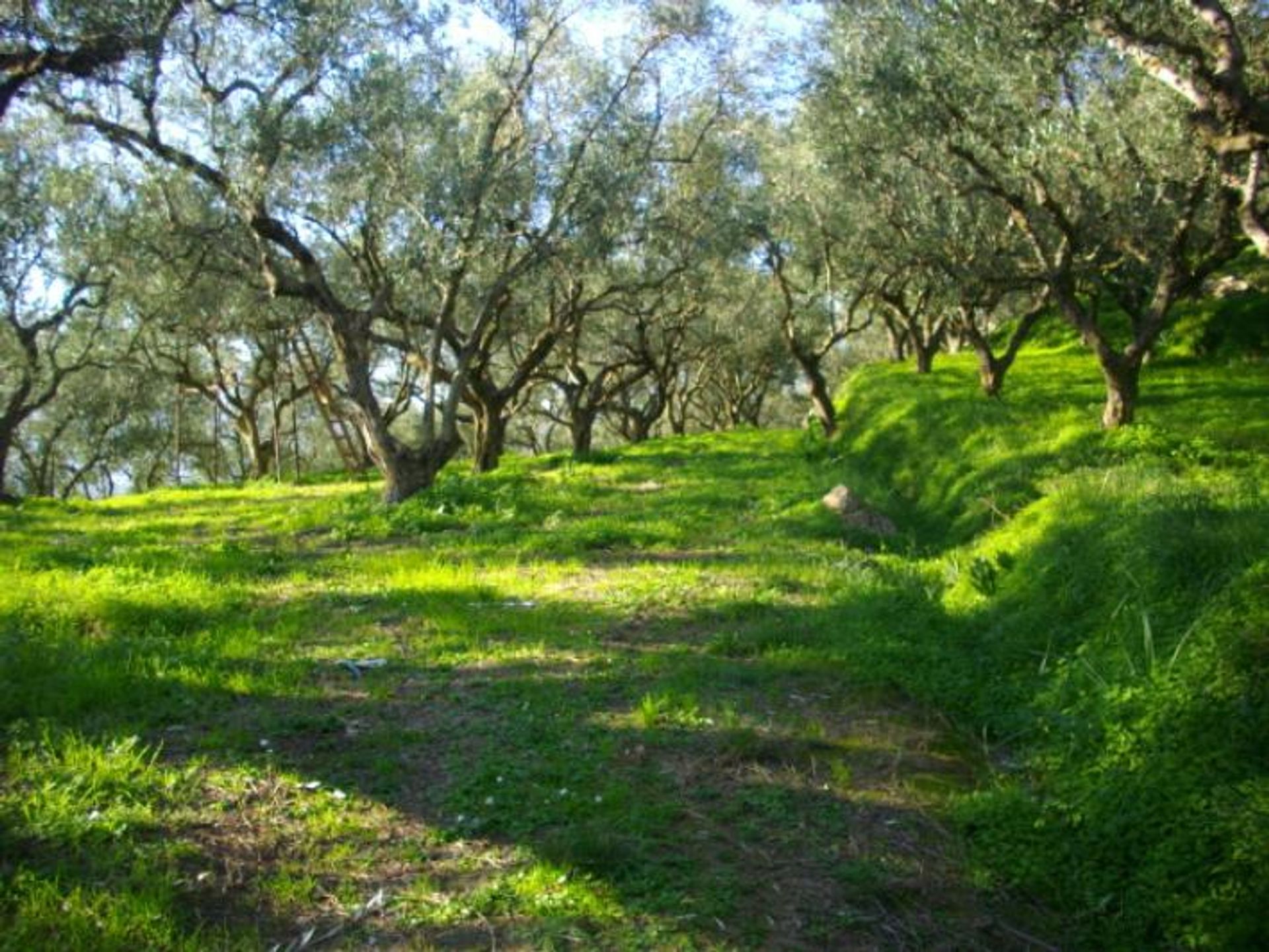 Land in Kalipado, Ionië Nisia 10087834