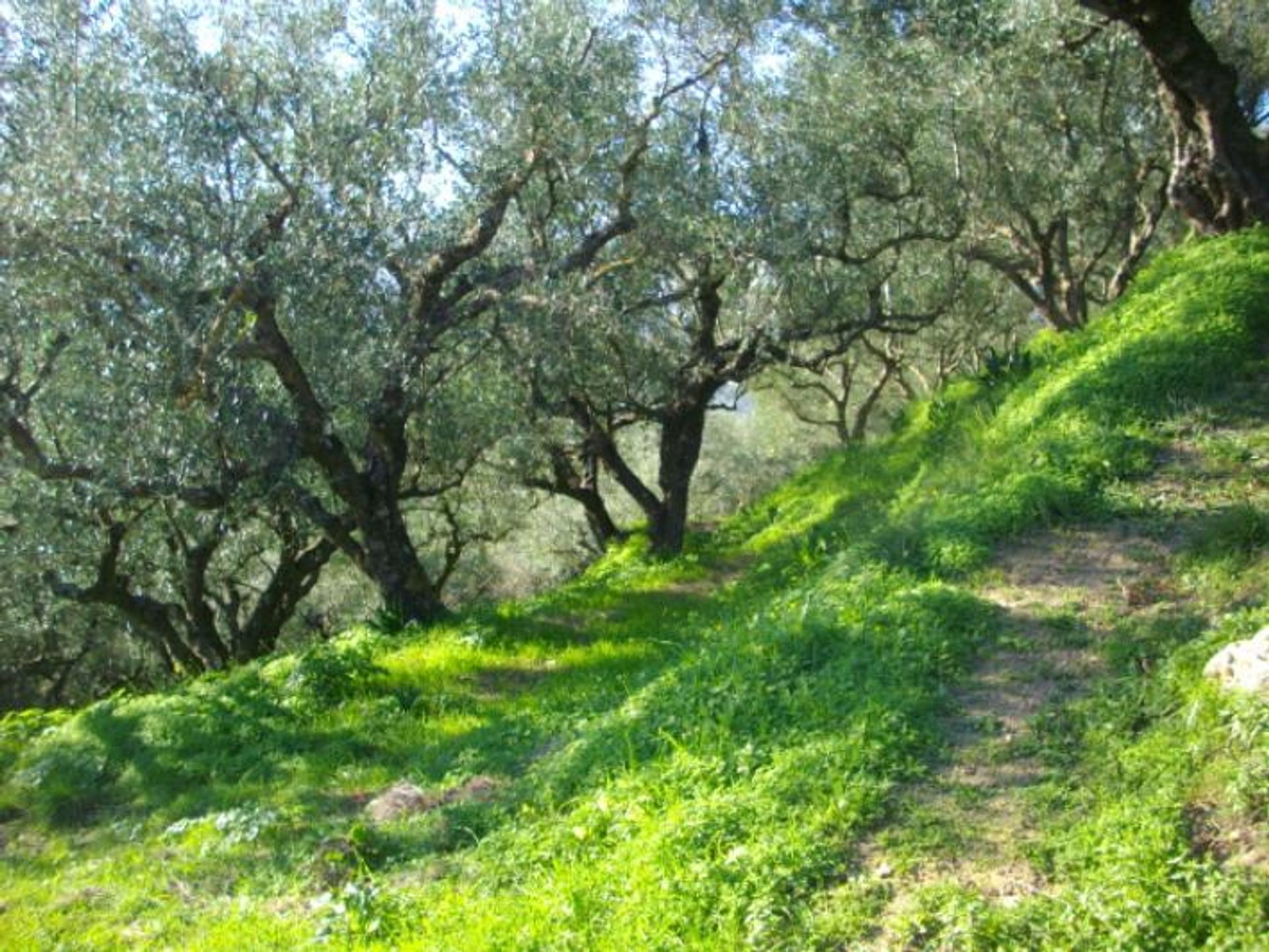 Земельные участки в Zakynthos, Zakinthos 10087834