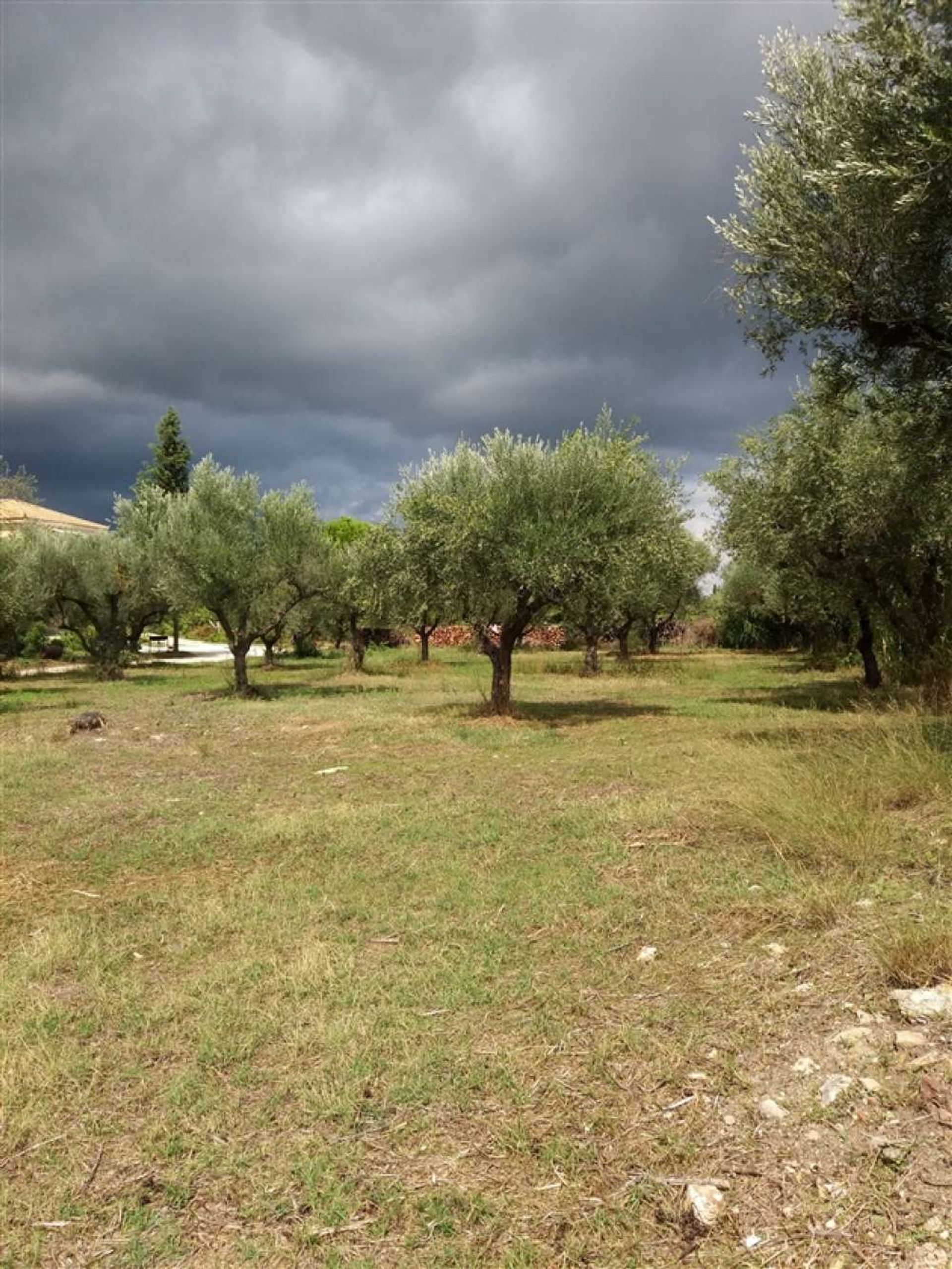 Terre dans Zakynthos, Zakinthos 10087839