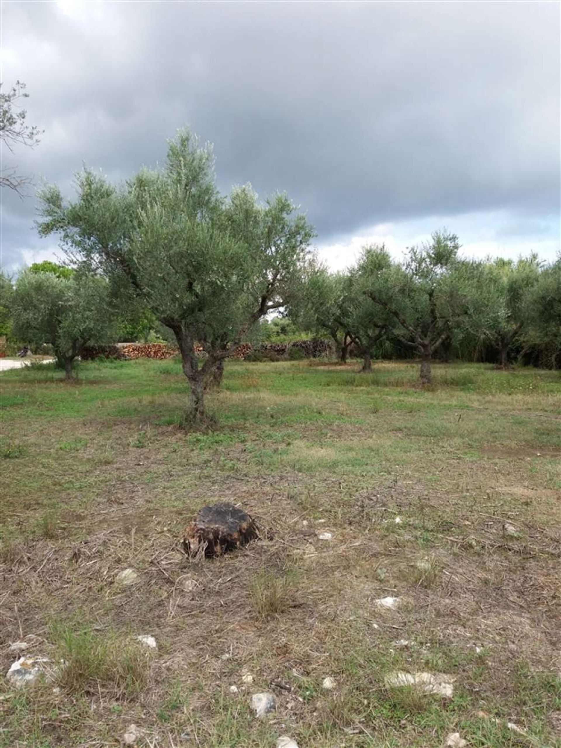 Terre dans Zakynthos, Zakinthos 10087839