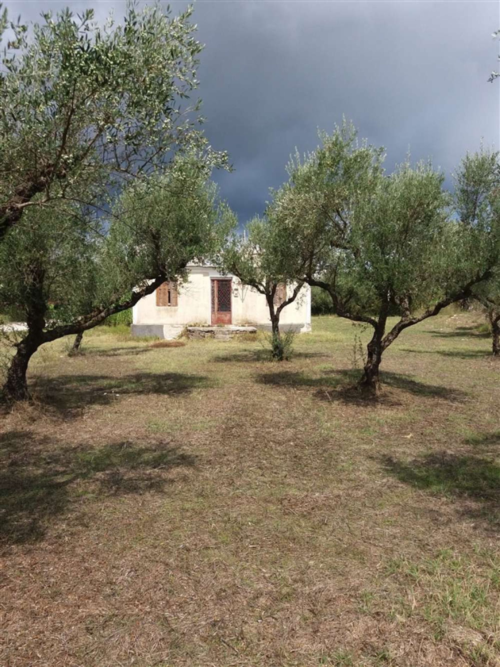 Terre dans Zakynthos, Zakinthos 10087839