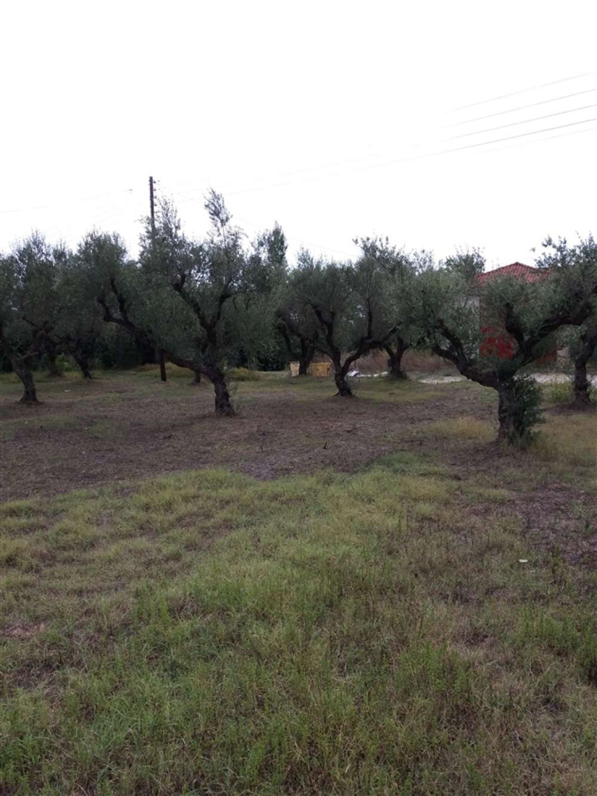 Terre dans Zakynthos, Zakinthos 10087839