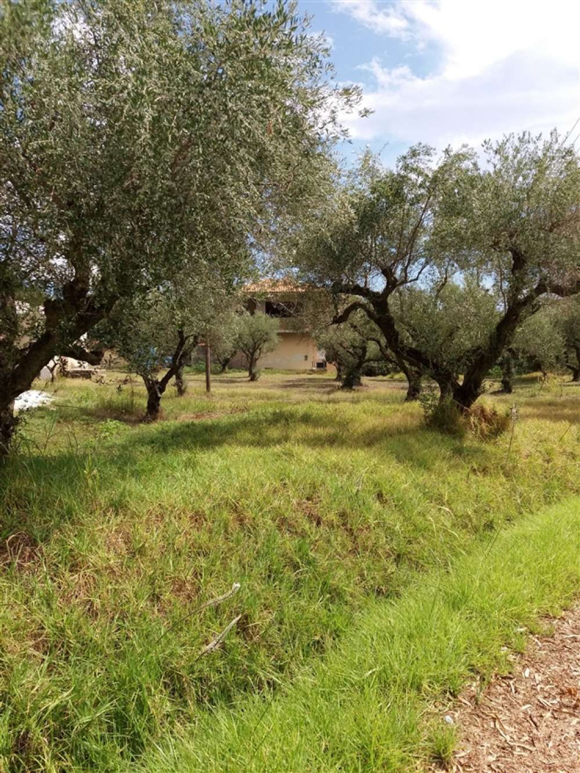 Terre dans Zakynthos, Zakinthos 10087839