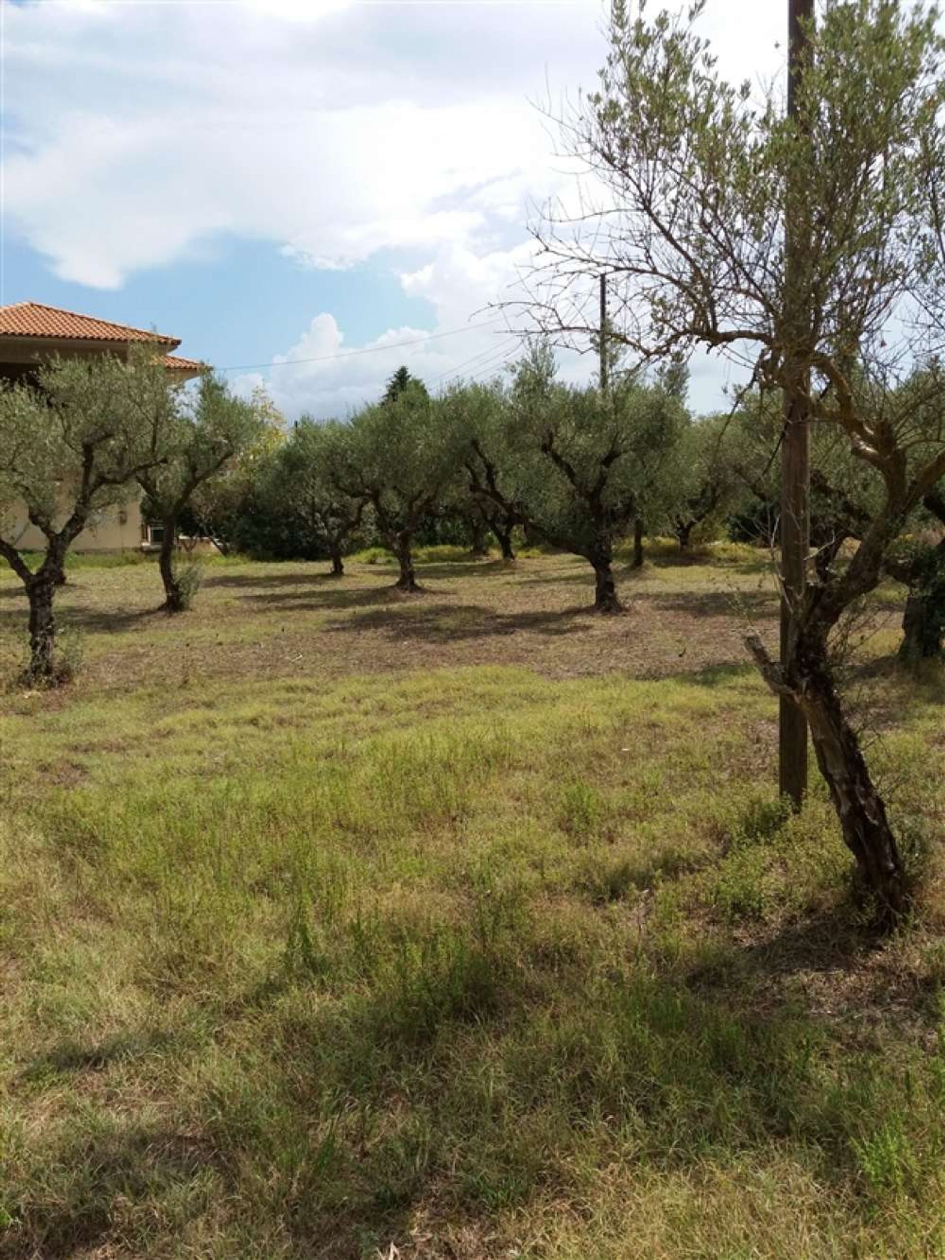 Terre dans Zakynthos, Zakinthos 10087839