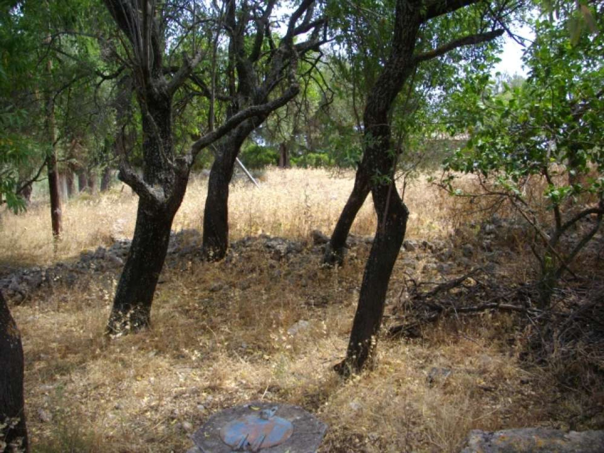 Jord i Zakynthos, Zakinthos 10087845