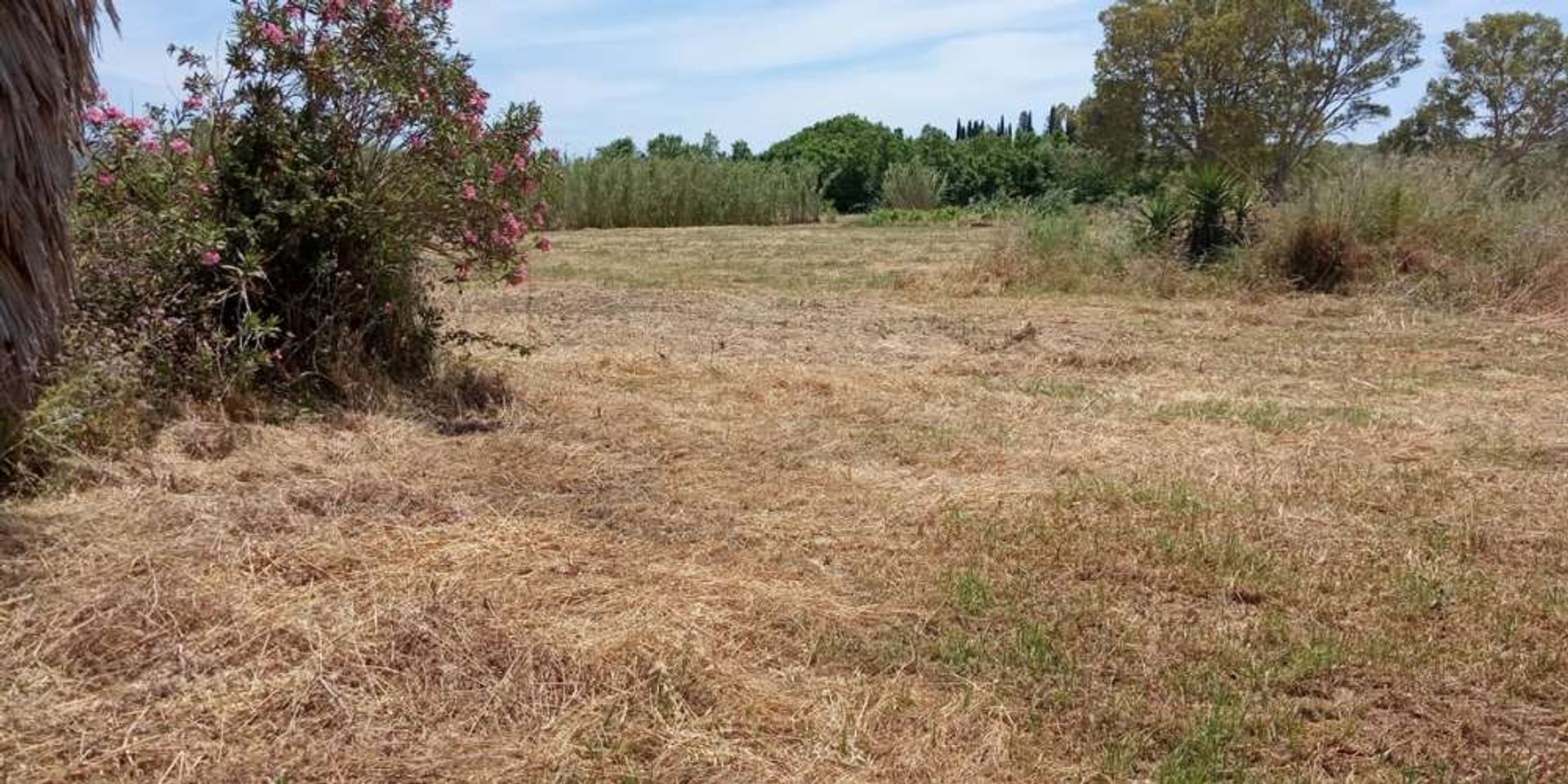 Land i Zakynthos, Zakinthos 10087854