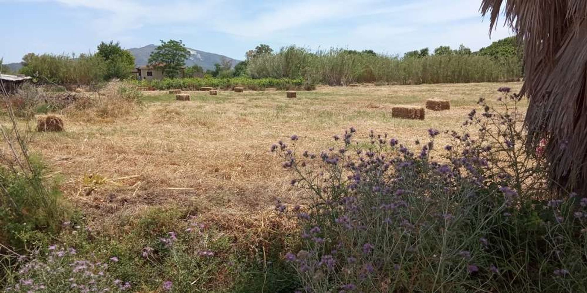 Land i Zakynthos, Zakinthos 10087854