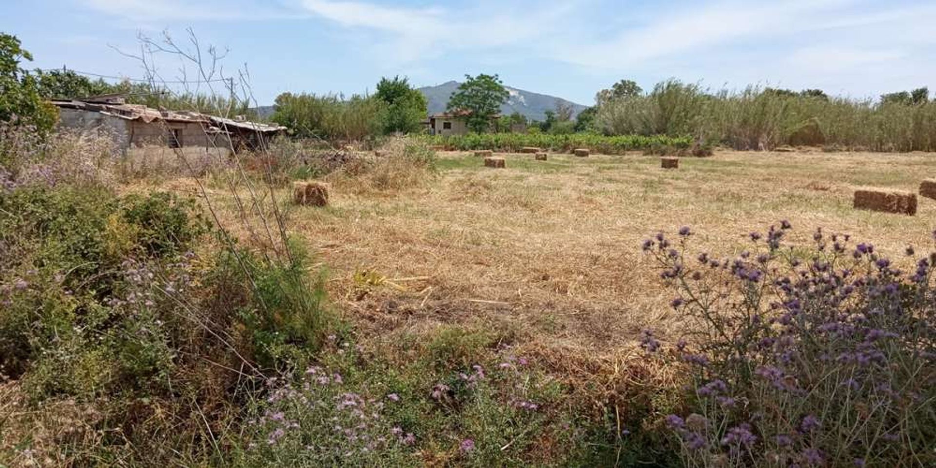 Земельные участки в Zakynthos, Zakinthos 10087854