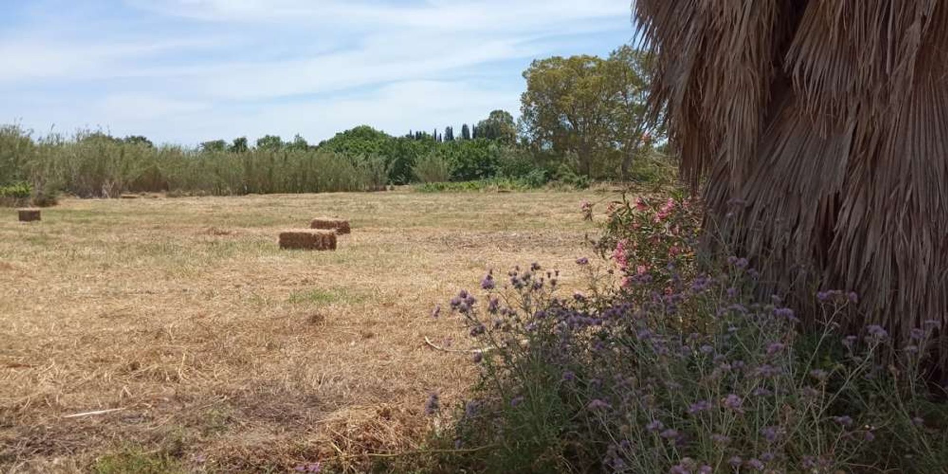 Земельные участки в Zakynthos, Zakinthos 10087854