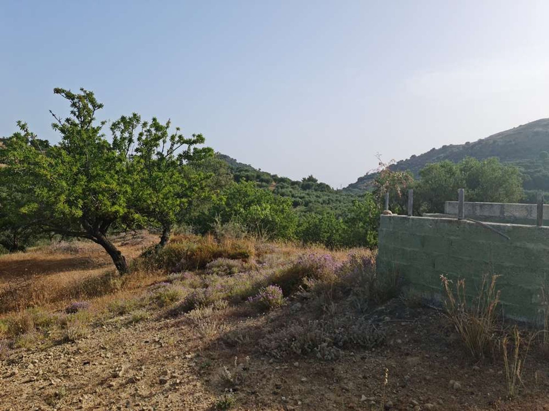 भूमि में Zakynthos, Zakinthos 10087857