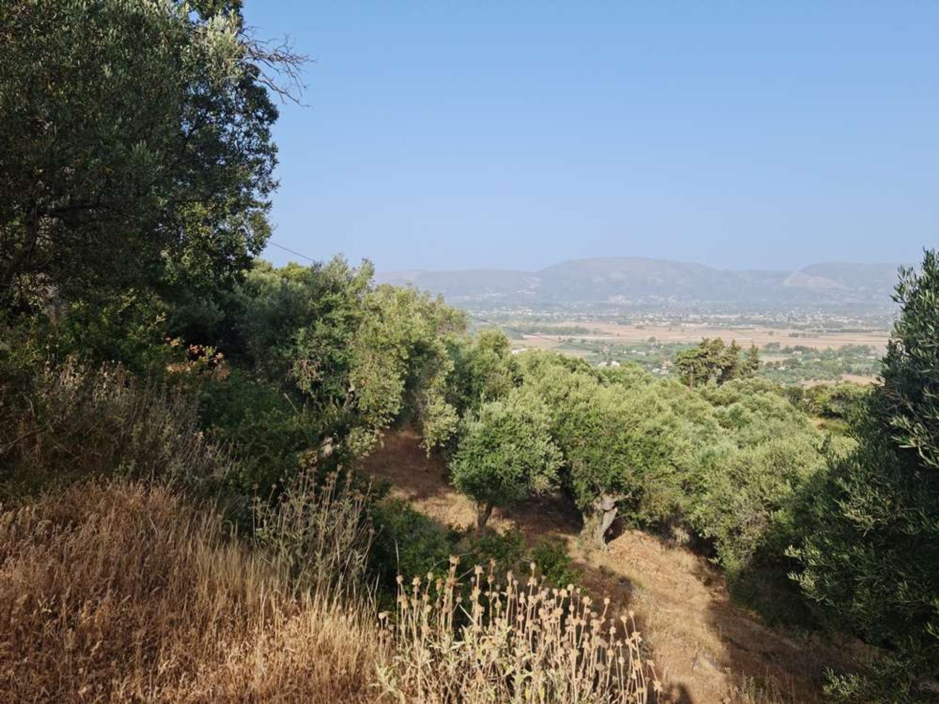 Maa sisään Zakynthos, Zakinthos 10087857