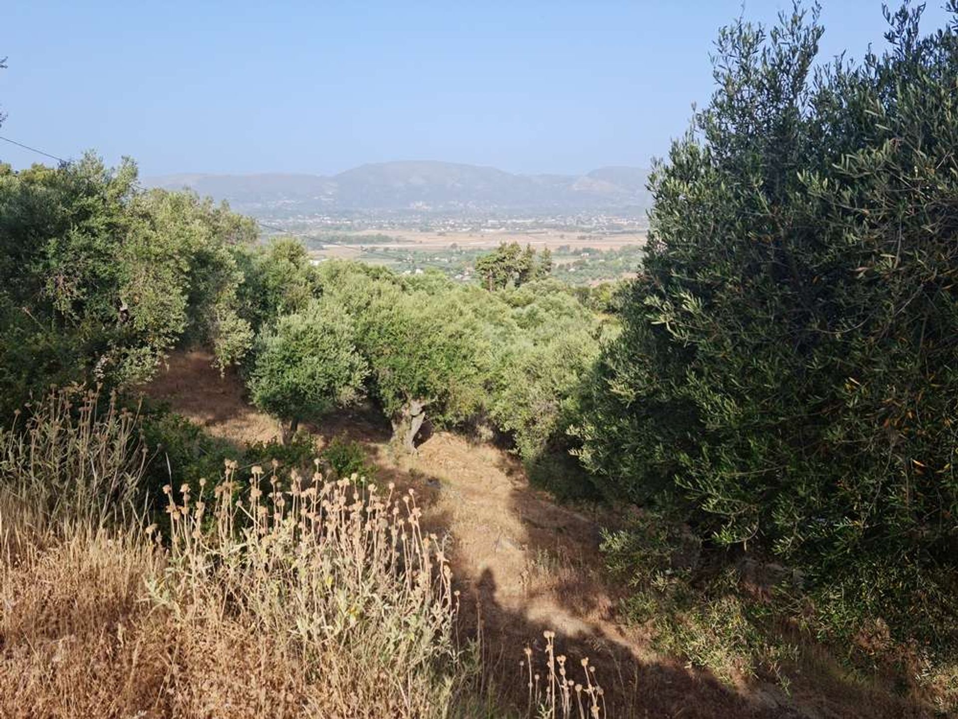 Maa sisään Zakynthos, Zakinthos 10087857