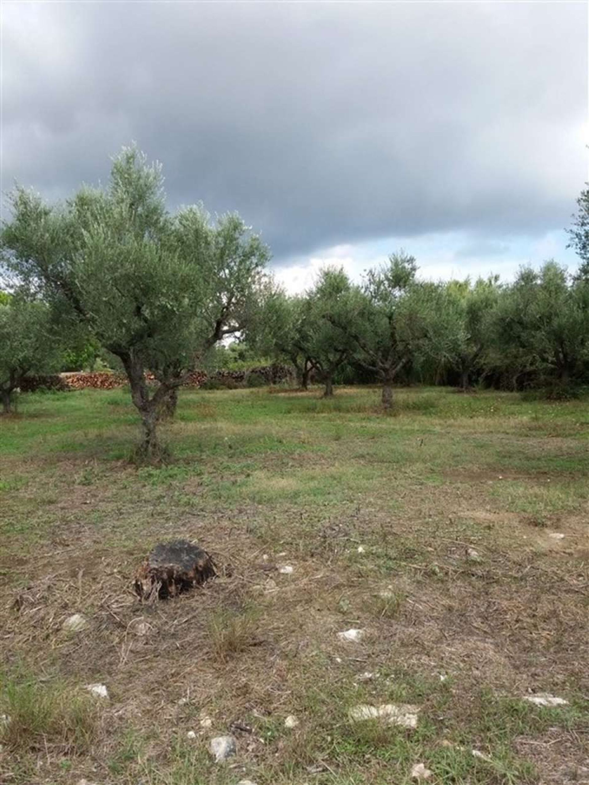 Tierra en Zakynthos, Zakinthos 10087865